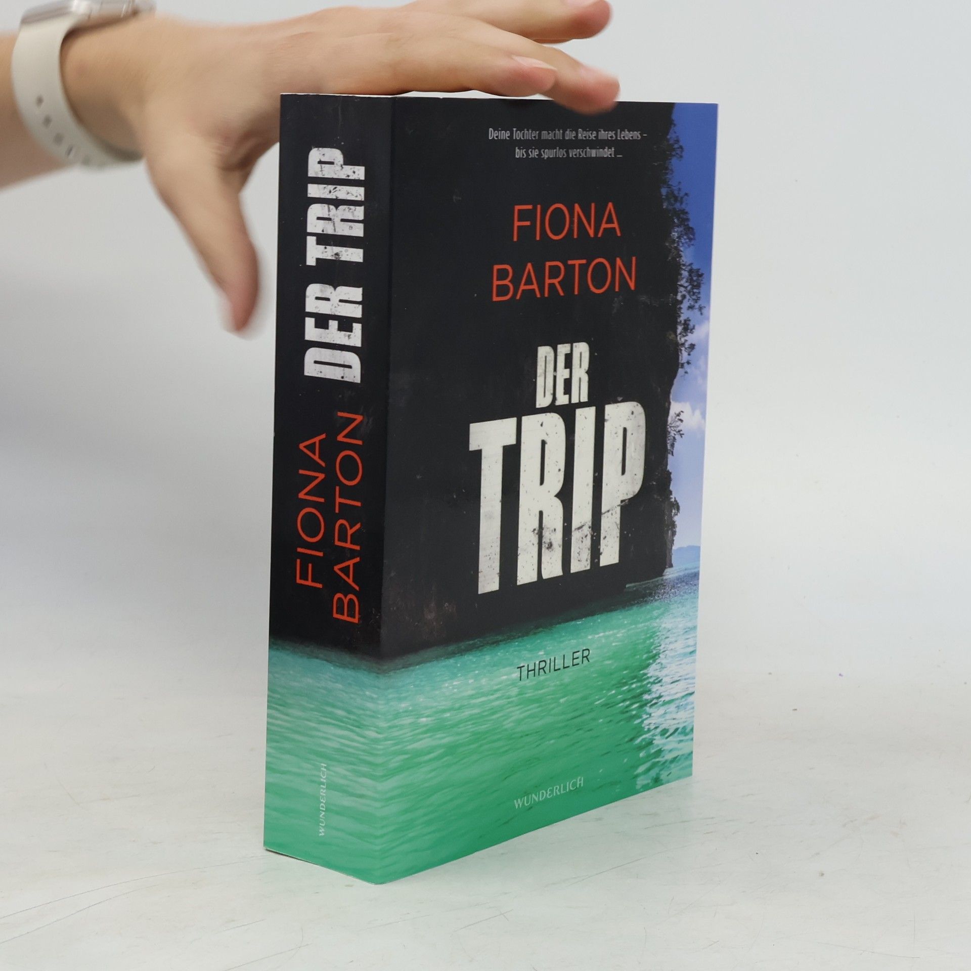 Fiona Barton Der Trip