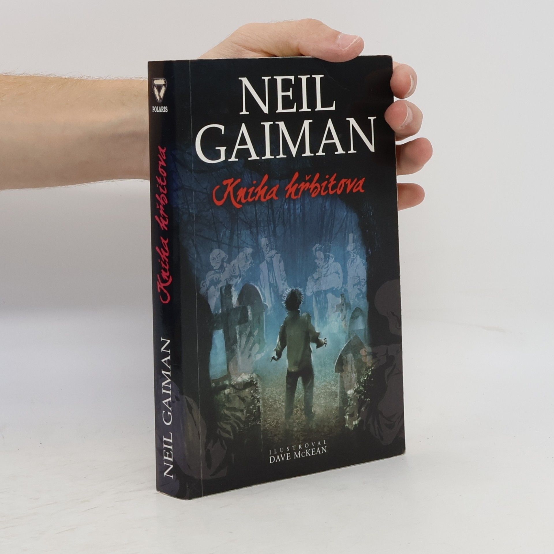 Neil Gaiman Kniha hřbitova