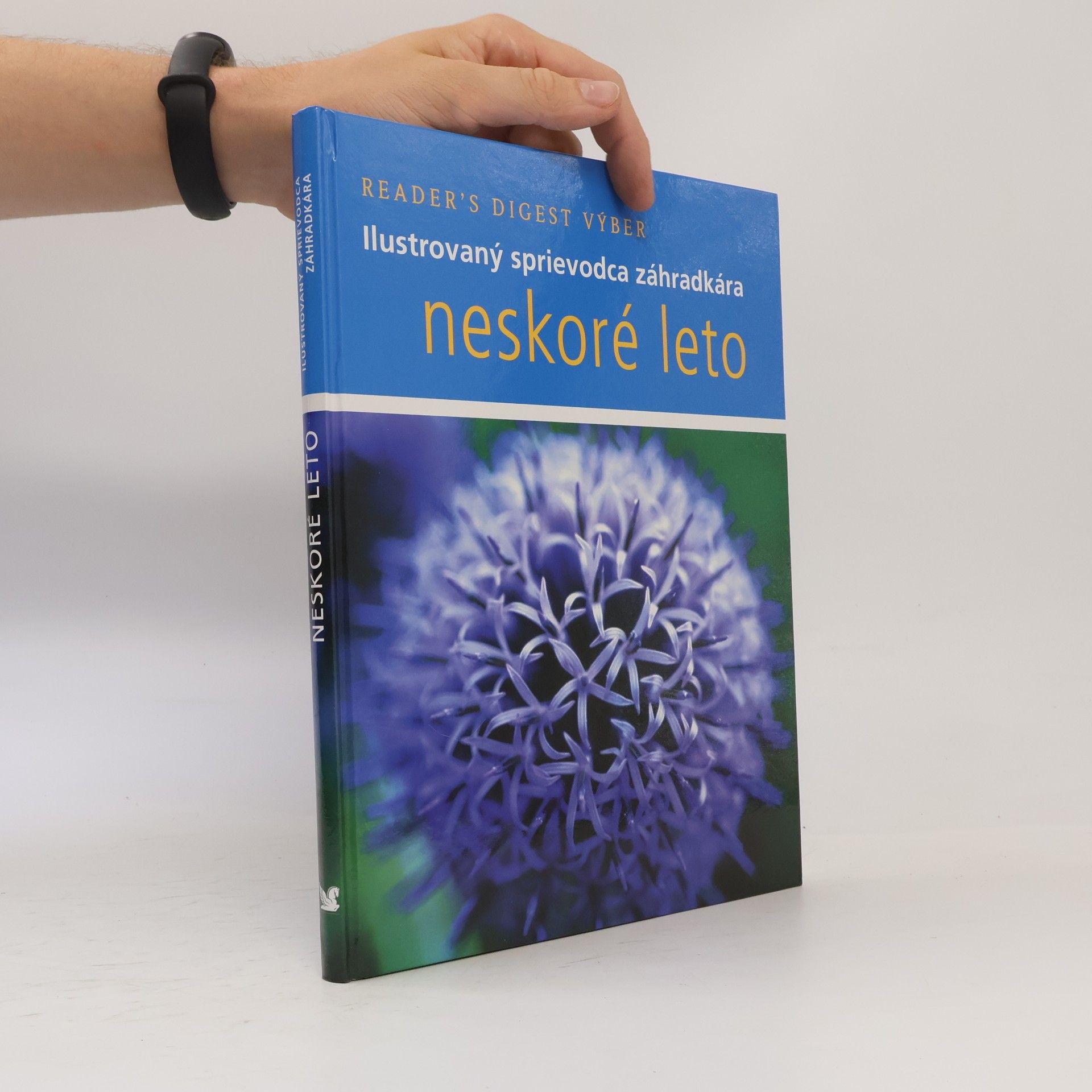 Autorenkollektiv Neskoré leto