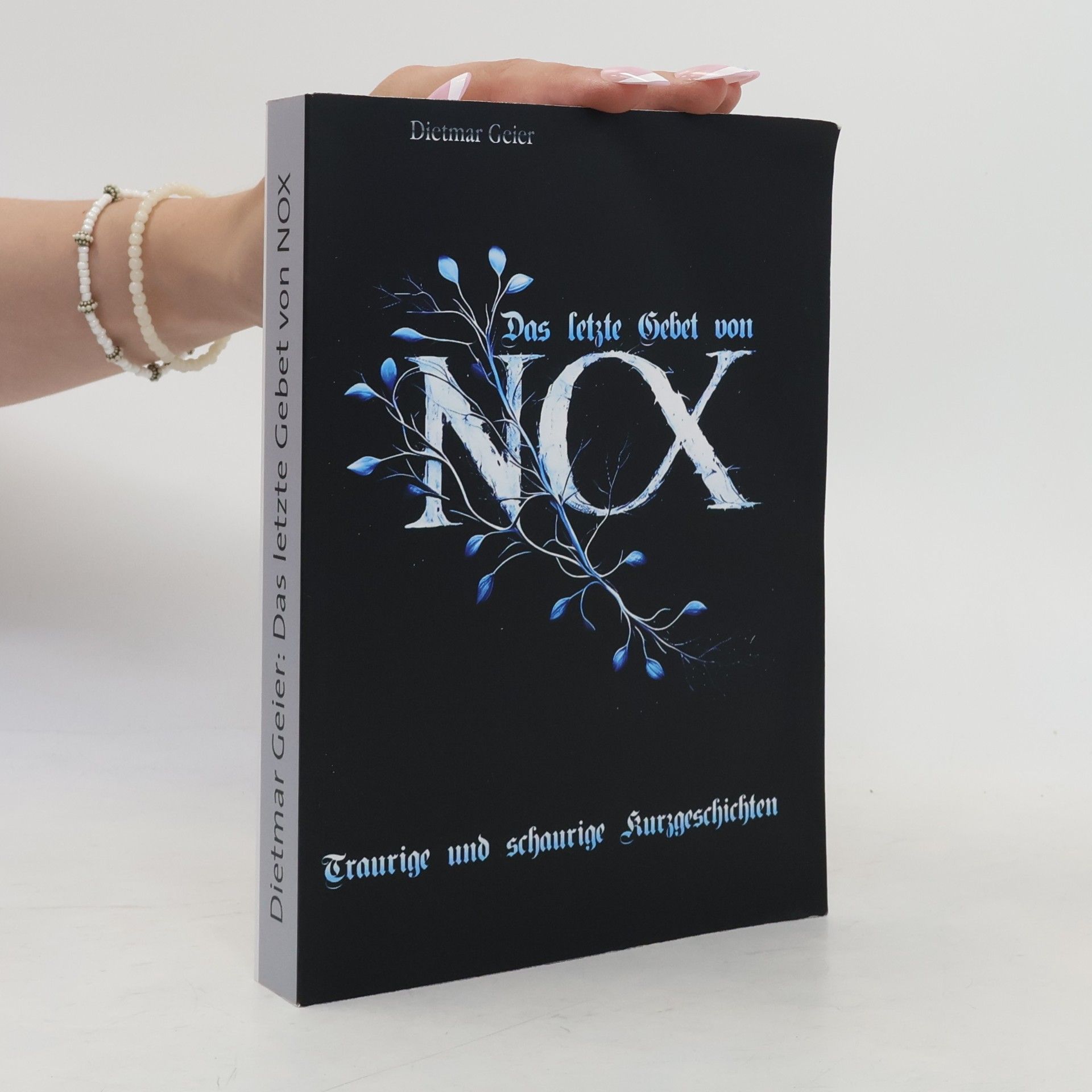 Dietmar Geier Das letzte Gebet von NOX