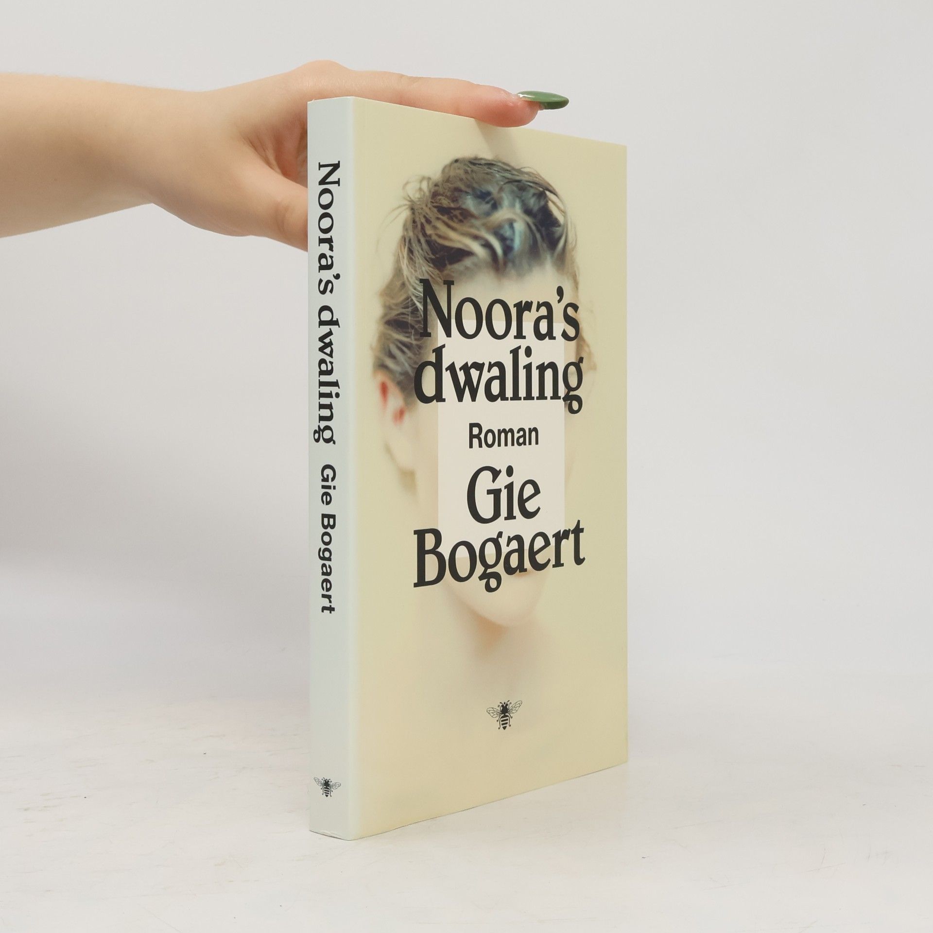 Gie Bogaert Noora's dwaling