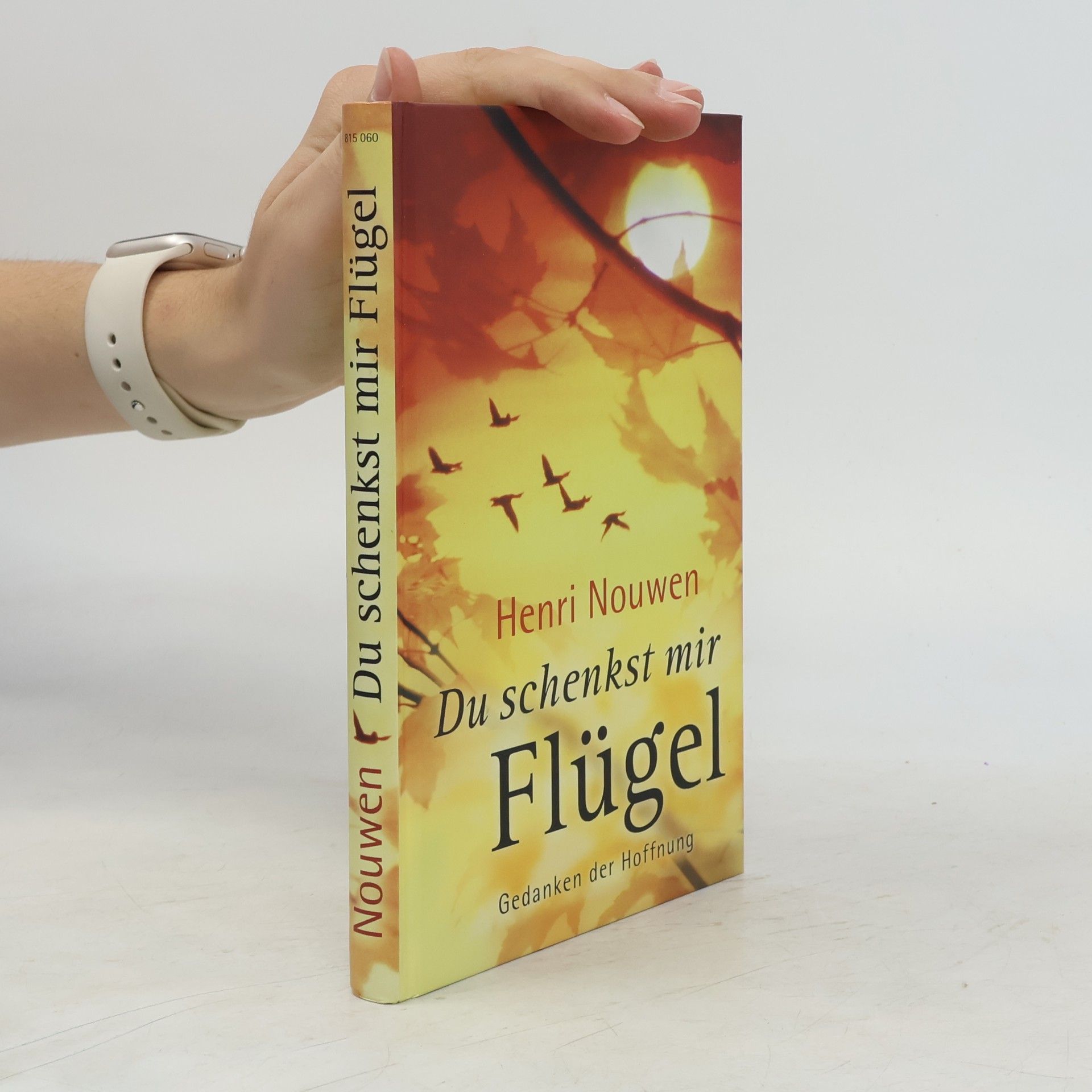 Henri Nouwen Du schenkst mir Flügel