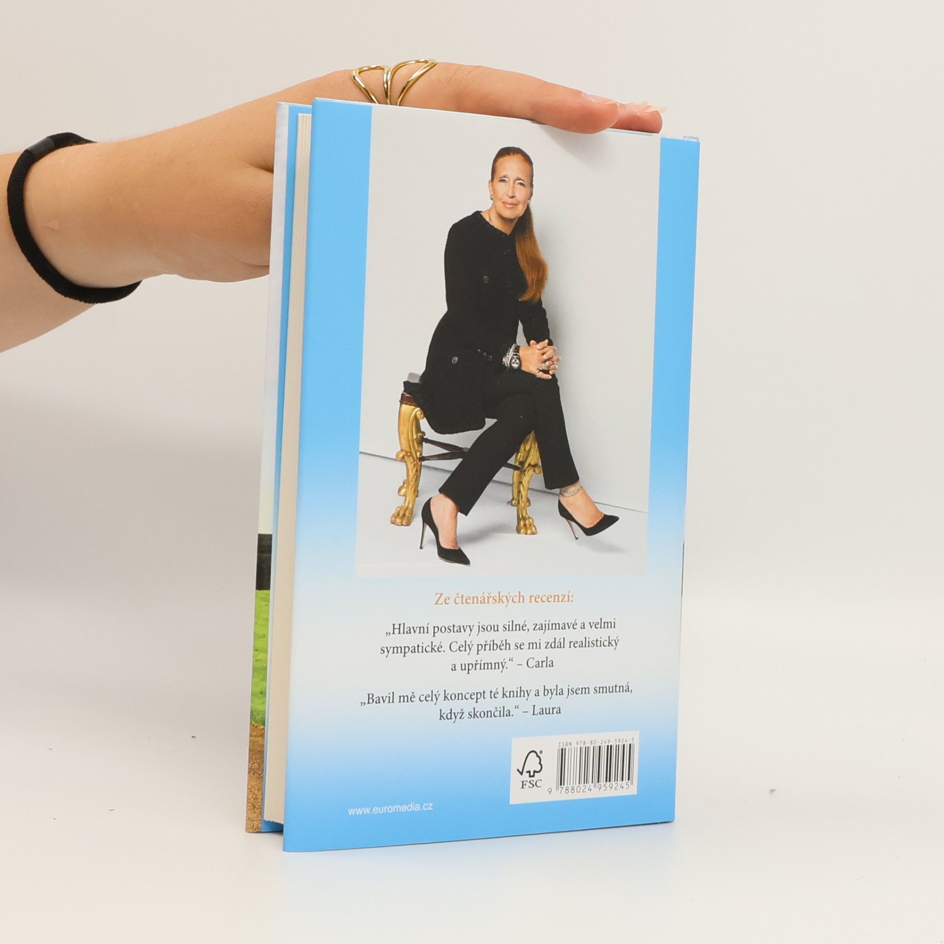 Danielle Steel Komorník