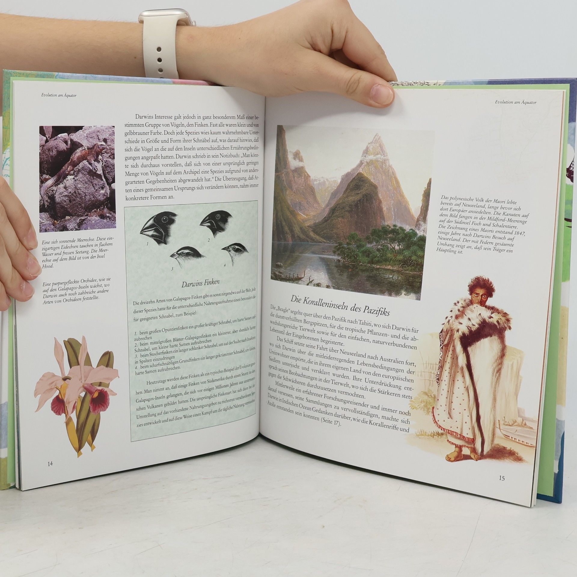 Steve Parker Charles Darwin und die Evolution