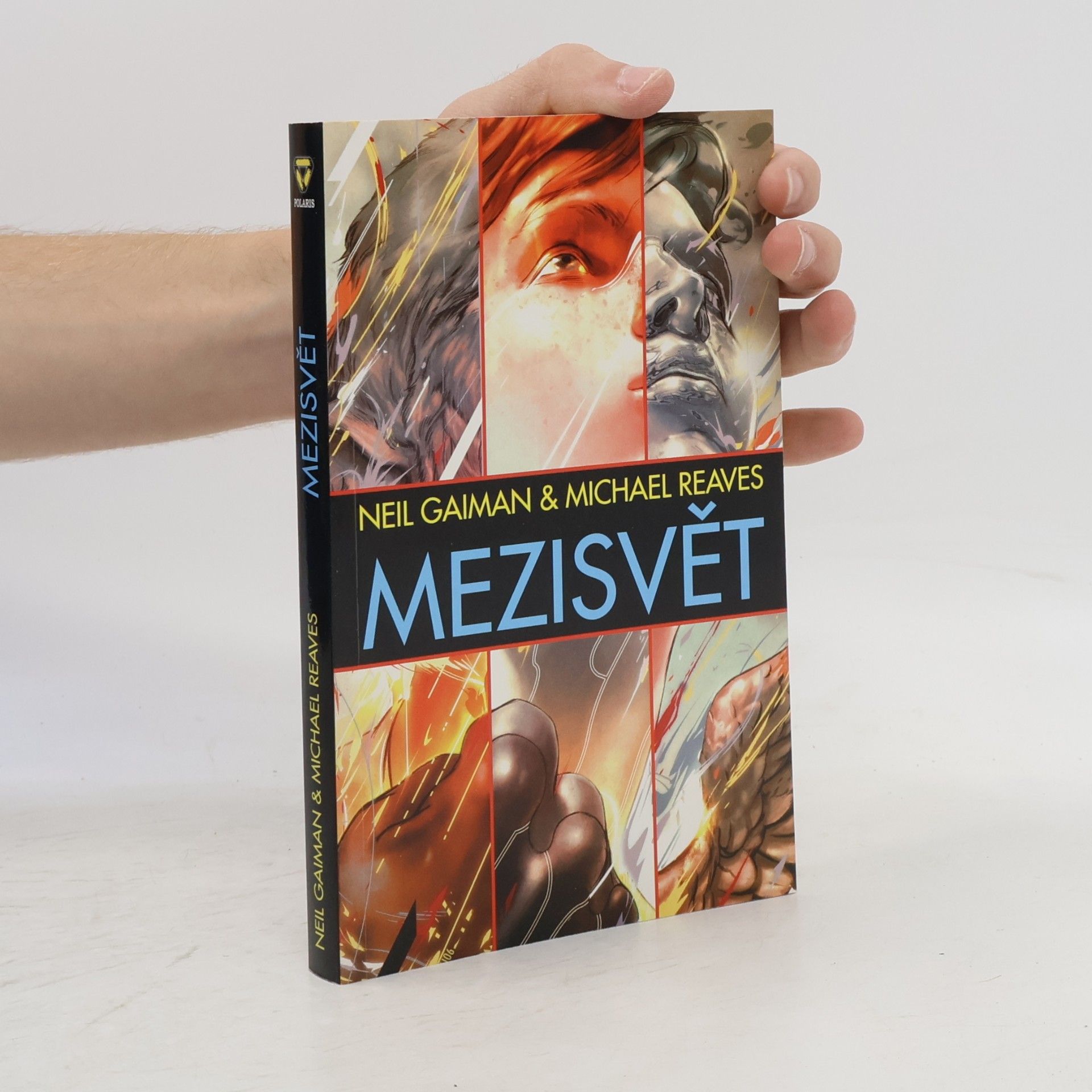 Neil Gaiman Mezisvět