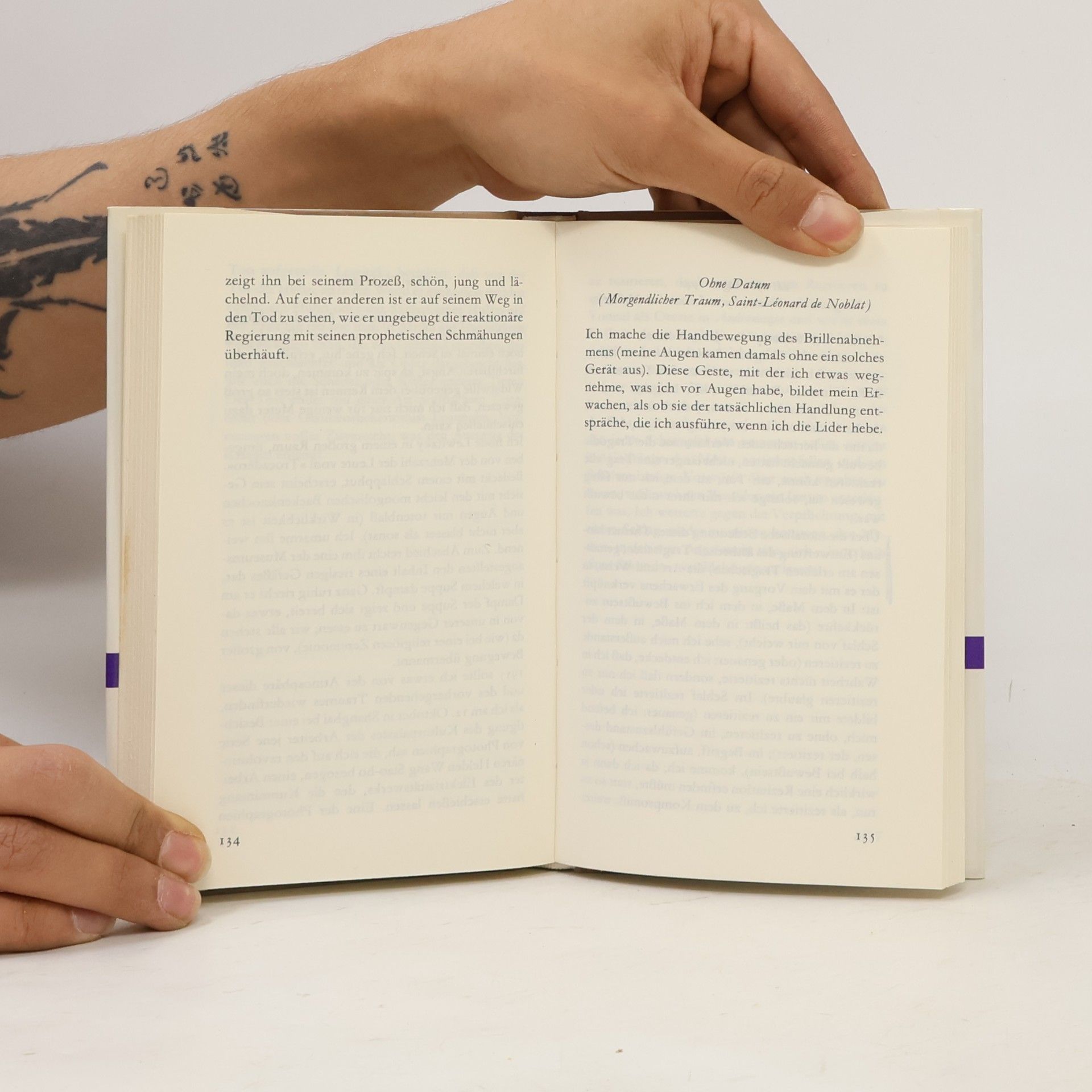 Michel Leiris Bibliothek Suhrkamp: Lichte Nächte und mancher dunkle Tag