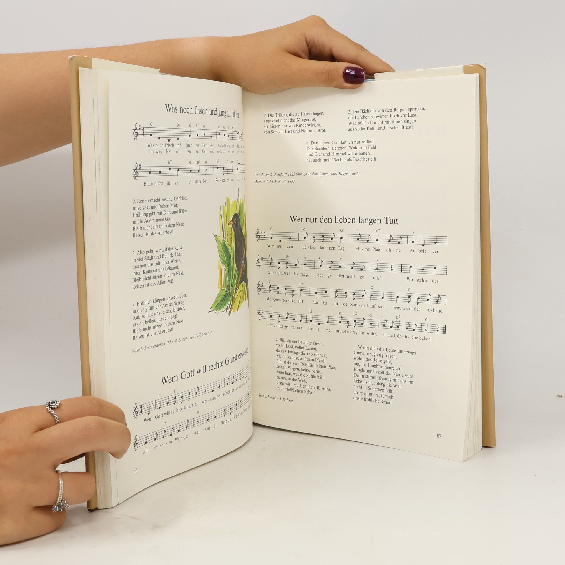 Autorenkollektiv Unsere schönsten Lieder
