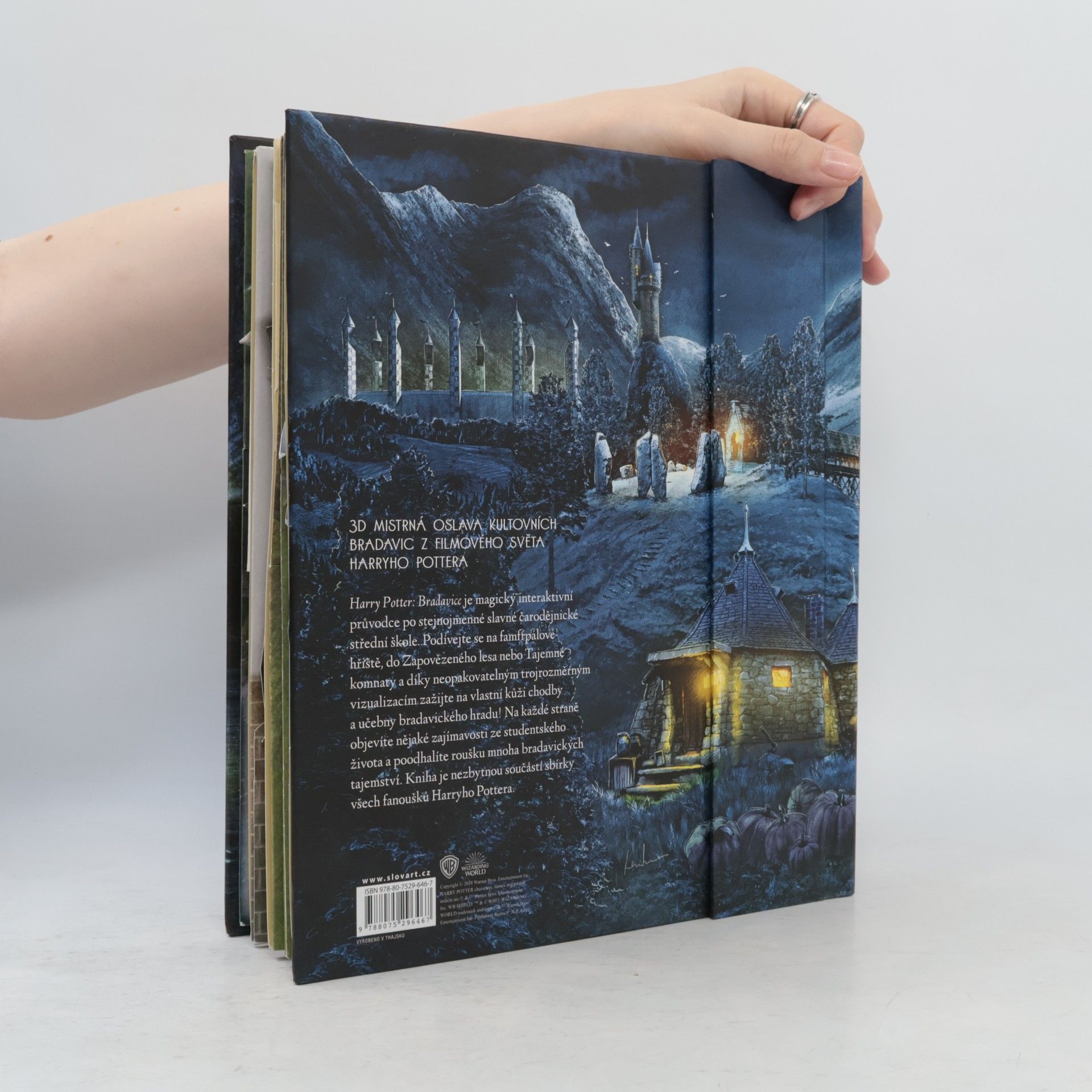 Matthew Reinhart Harry Potter – 3D průvodce: Bradavice, jak je znáte z filmů
