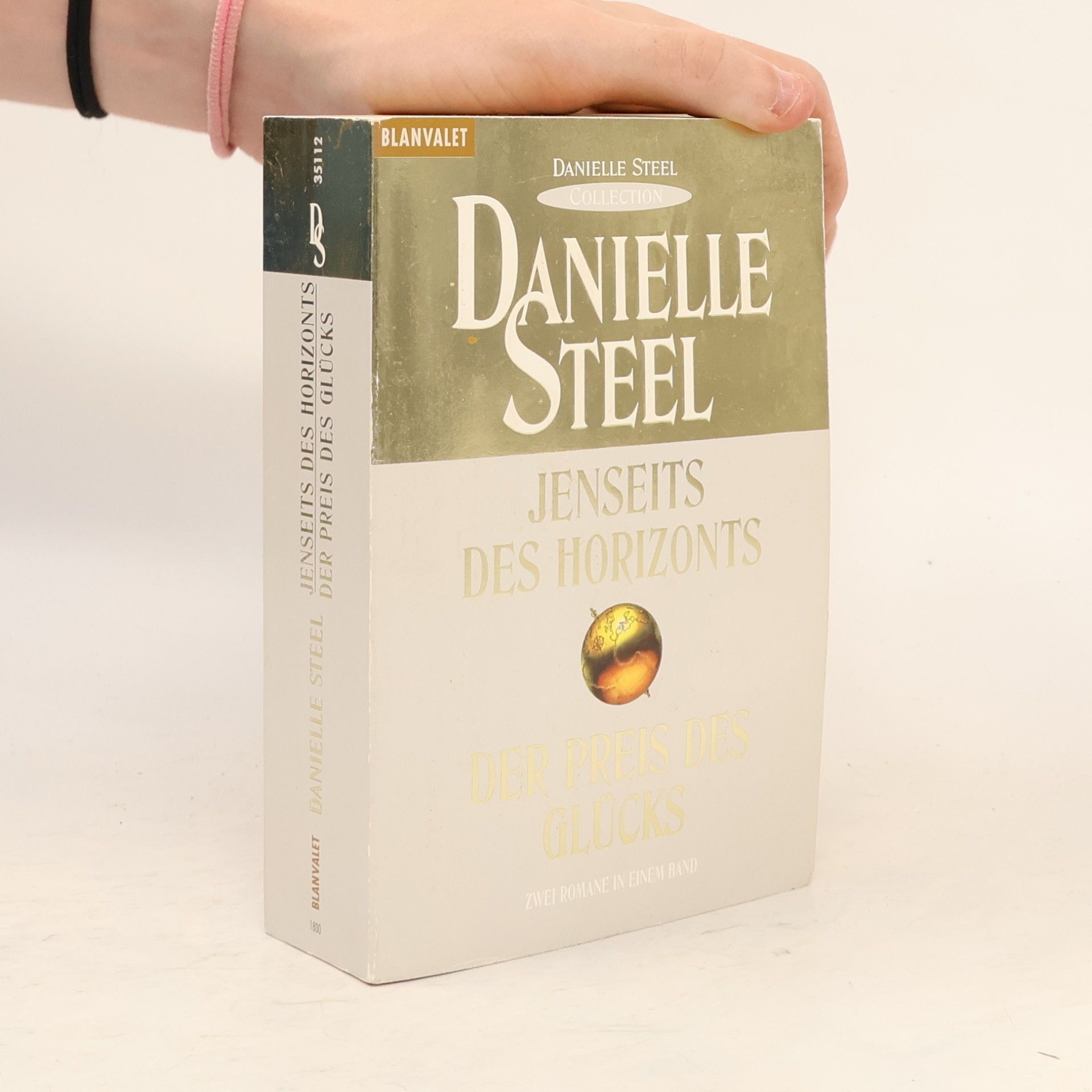 Danielle Steel Jenseits des Horizonts. Der Preis des Glücks