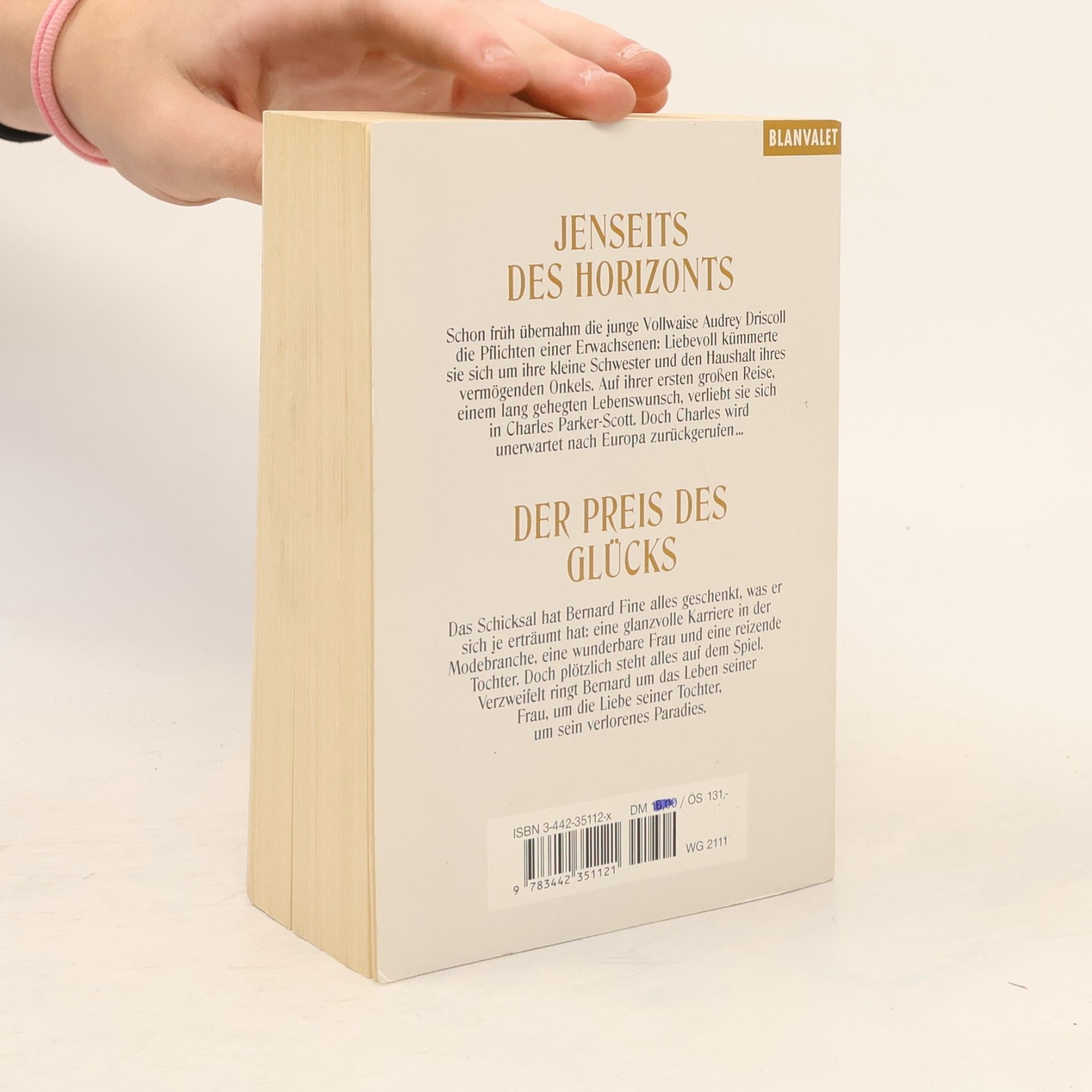 Danielle Steel Jenseits des Horizonts. Der Preis des Glücks
