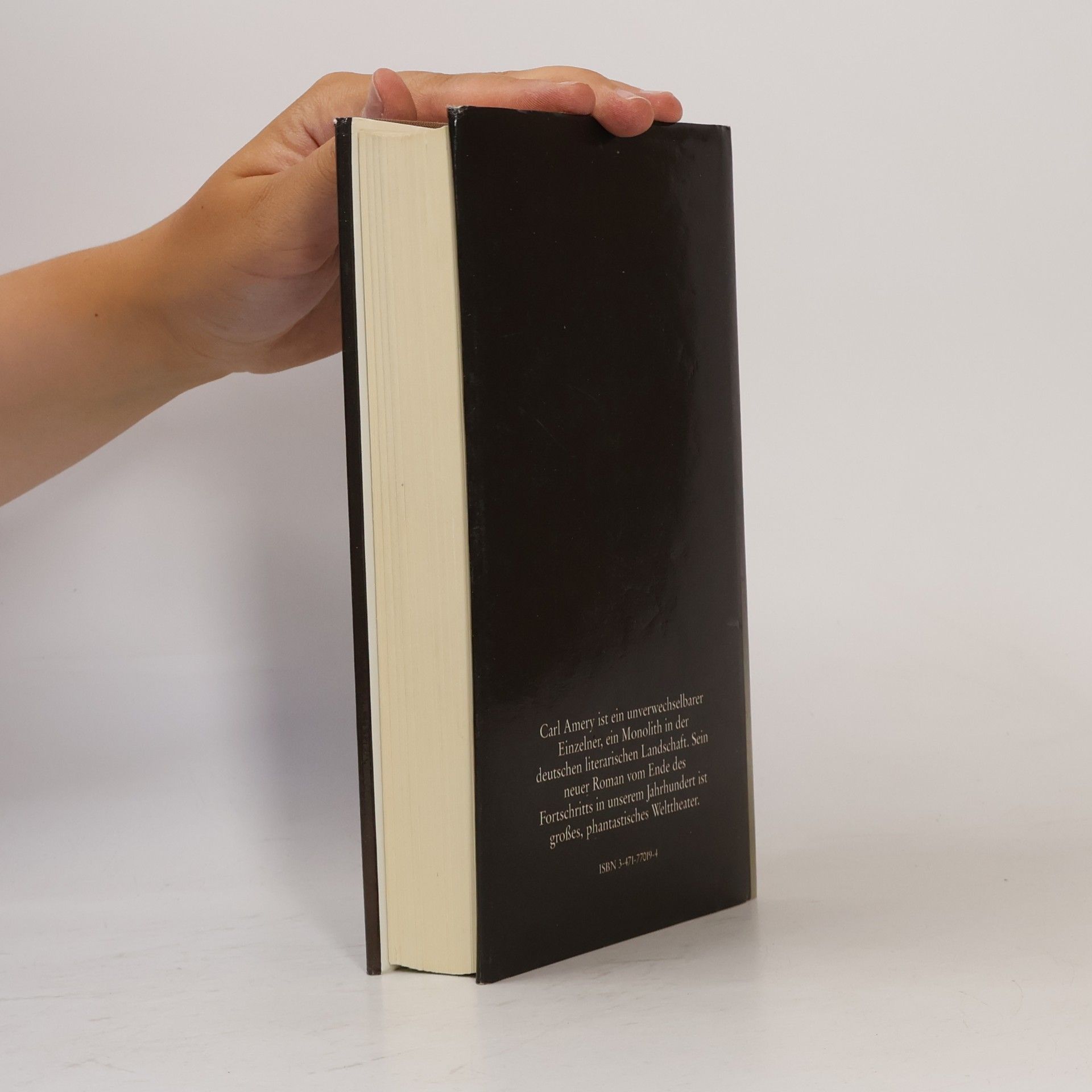 Carl Amery Das Geheimnis der Krypta