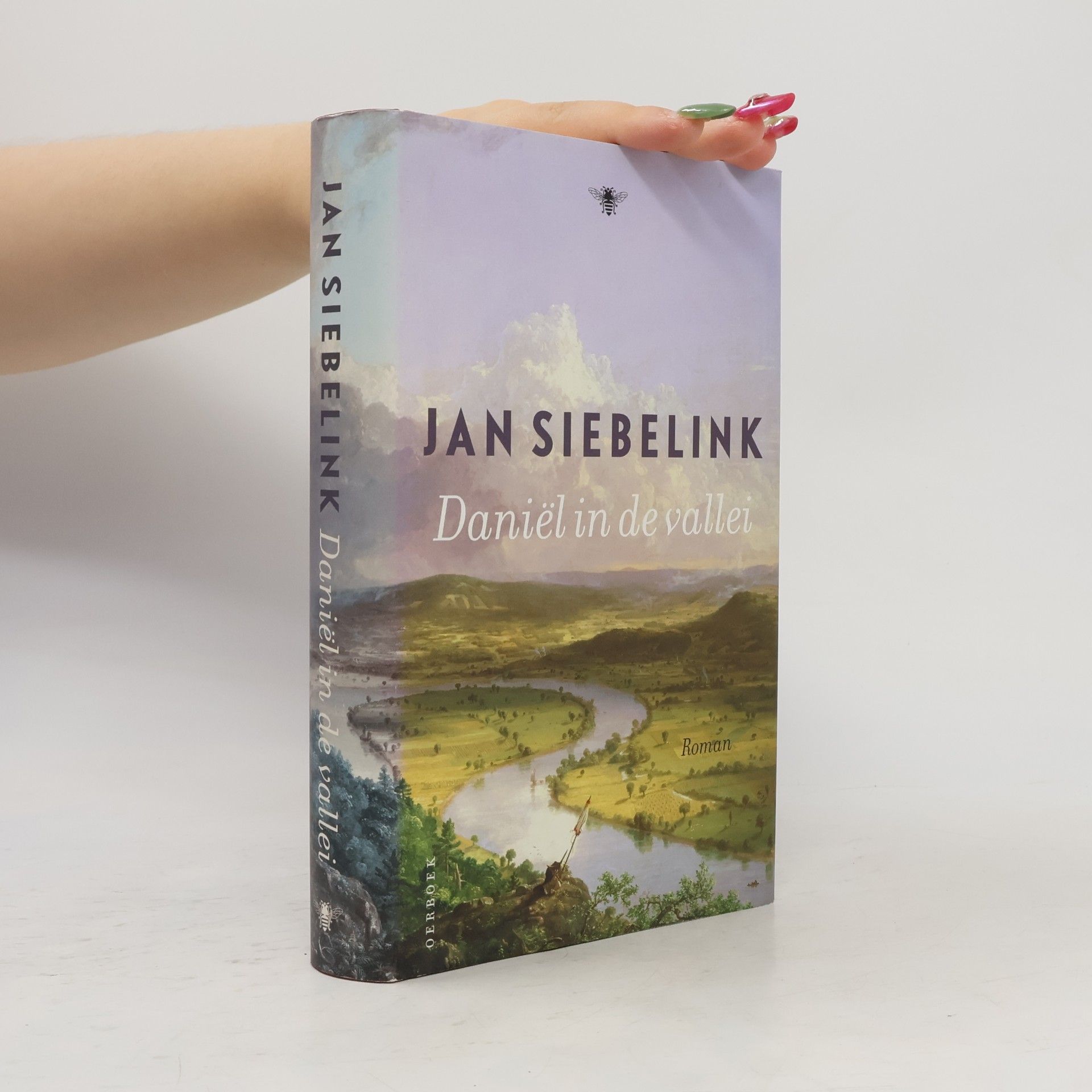 Jan Siebelink Daniël in de vallei