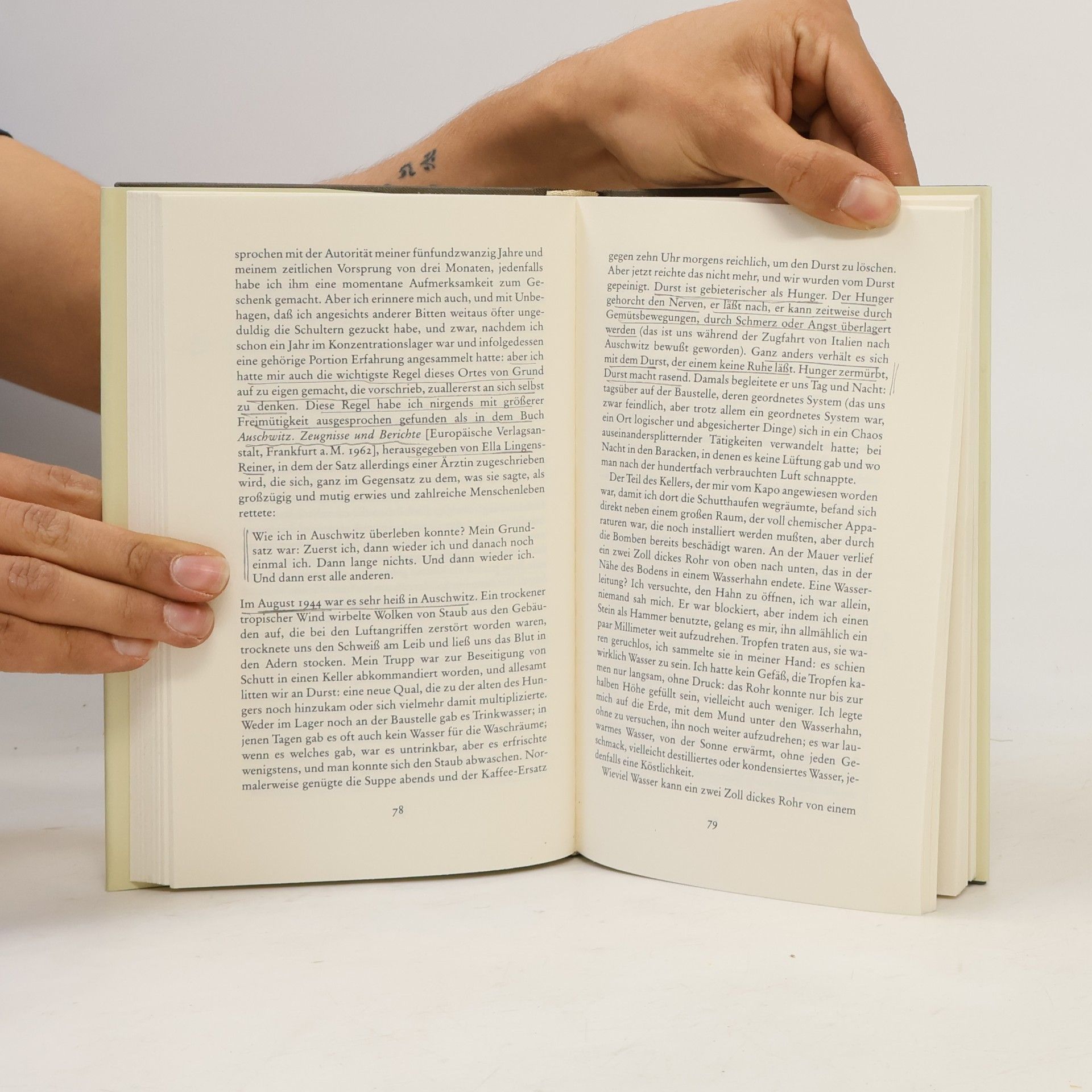 Primo Levi Die Untergegangenen und die Geretteten