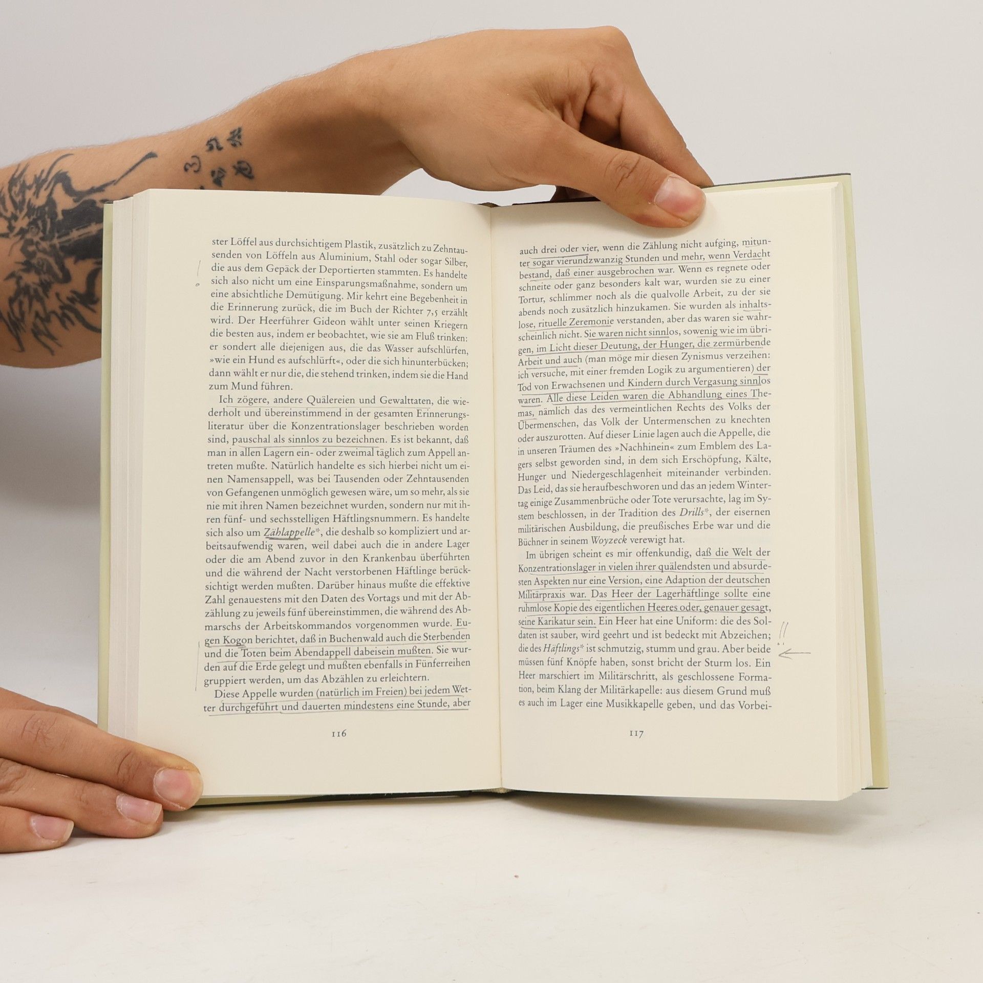Primo Levi Die Untergegangenen und die Geretteten