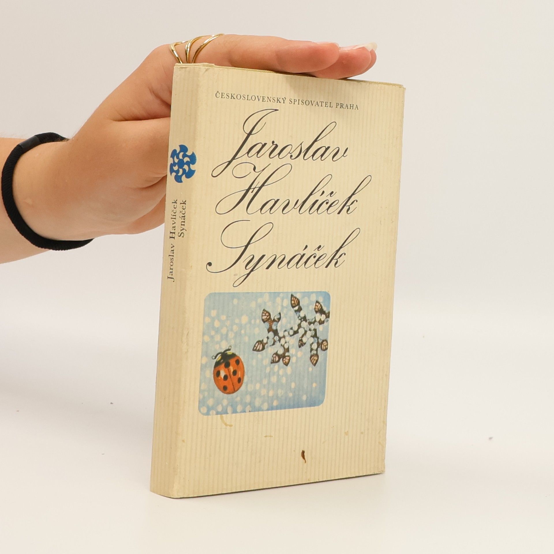Jaroslav Havlíček Synáček