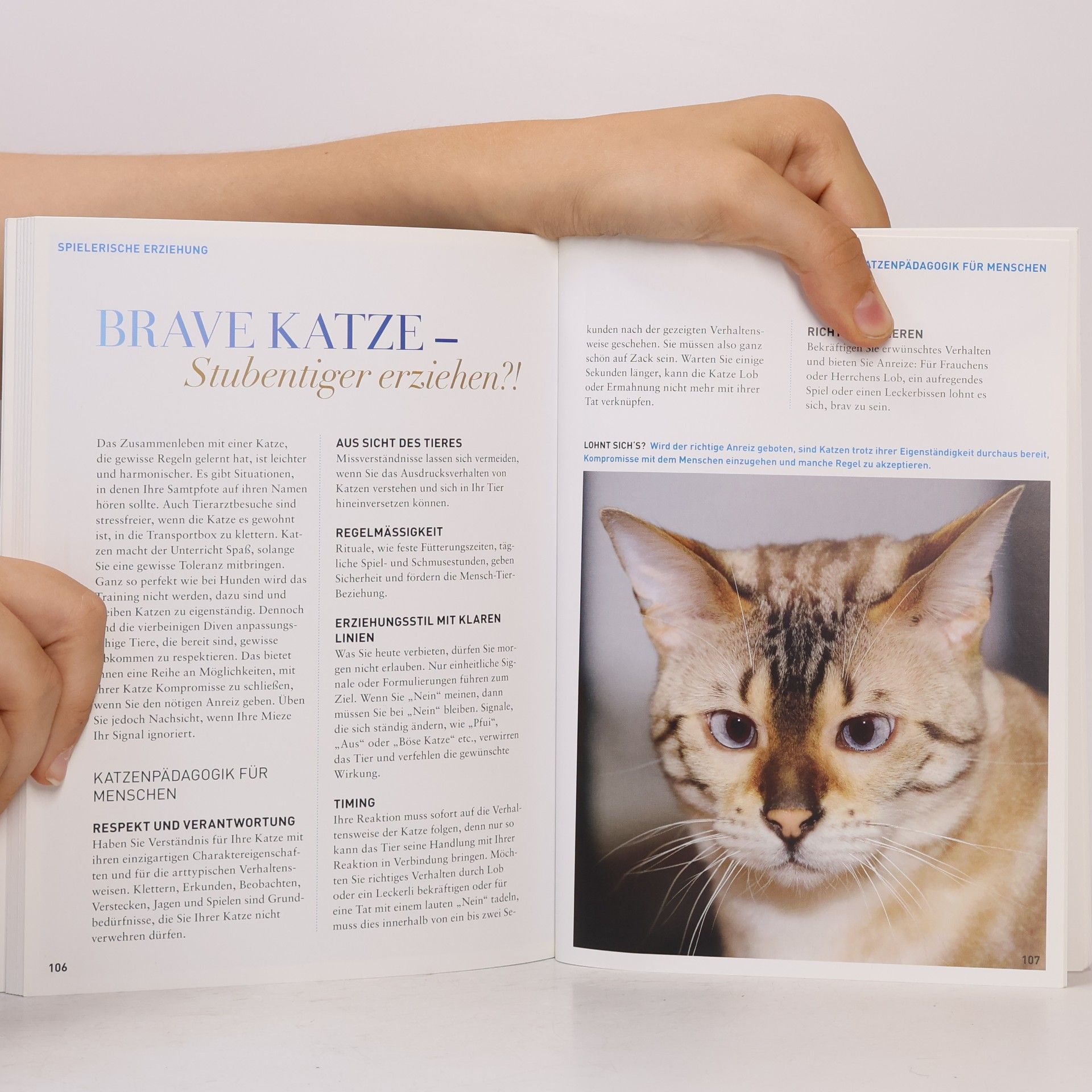 Denise Seidl Spiel & Spass für Katzen
