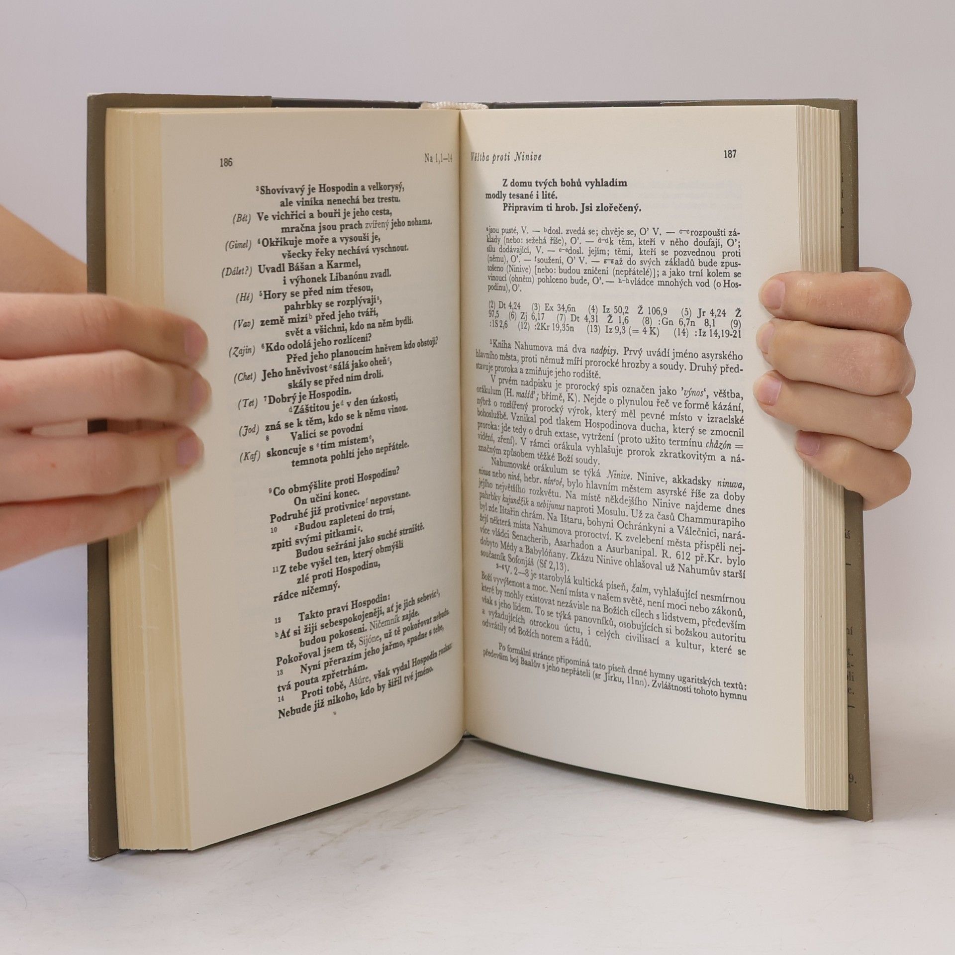 Various authors Starý zákon. Dvanáct proroků