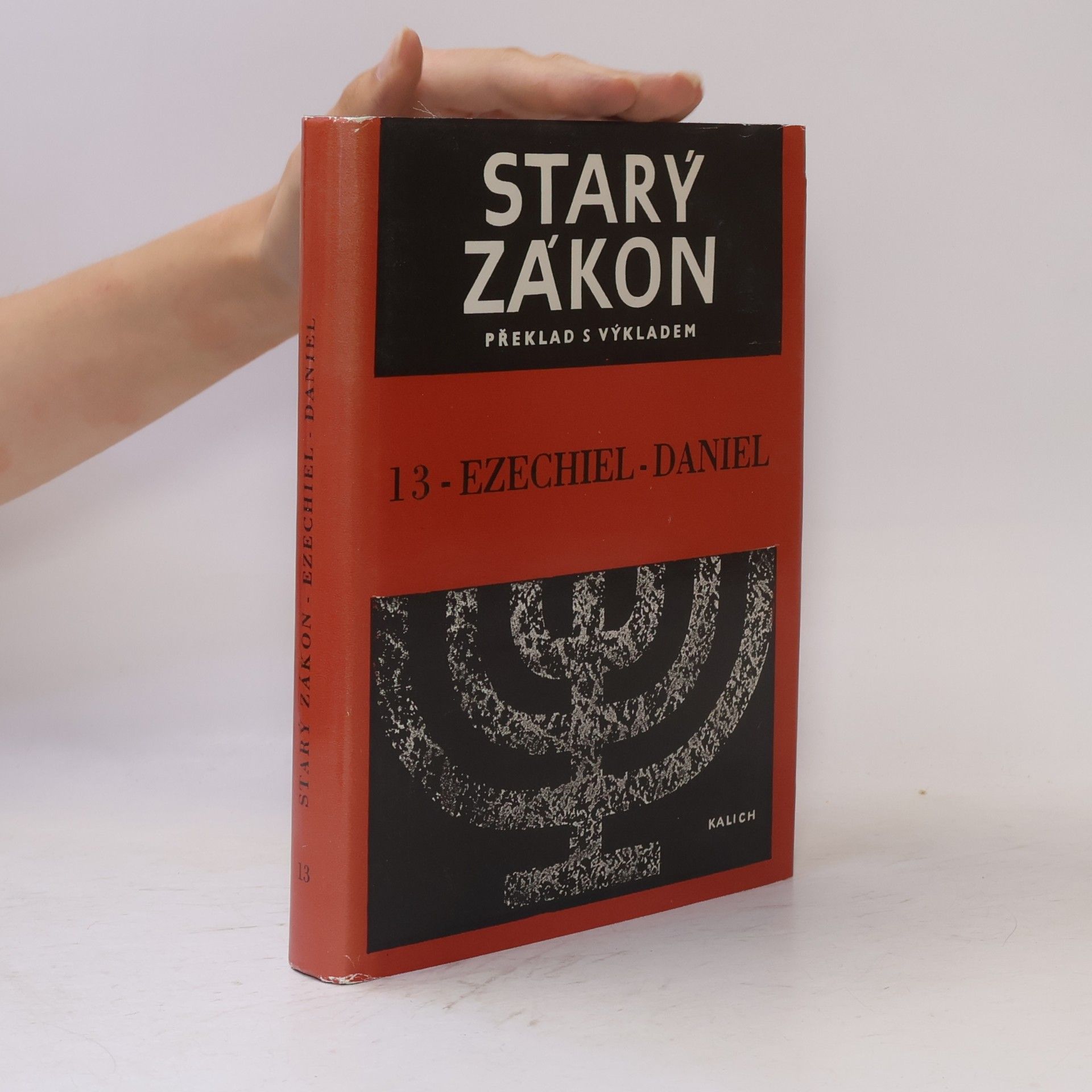 Kolektiv autorů Starý zákon. Překlad s výkladem 13. Ezechiel-Daniel