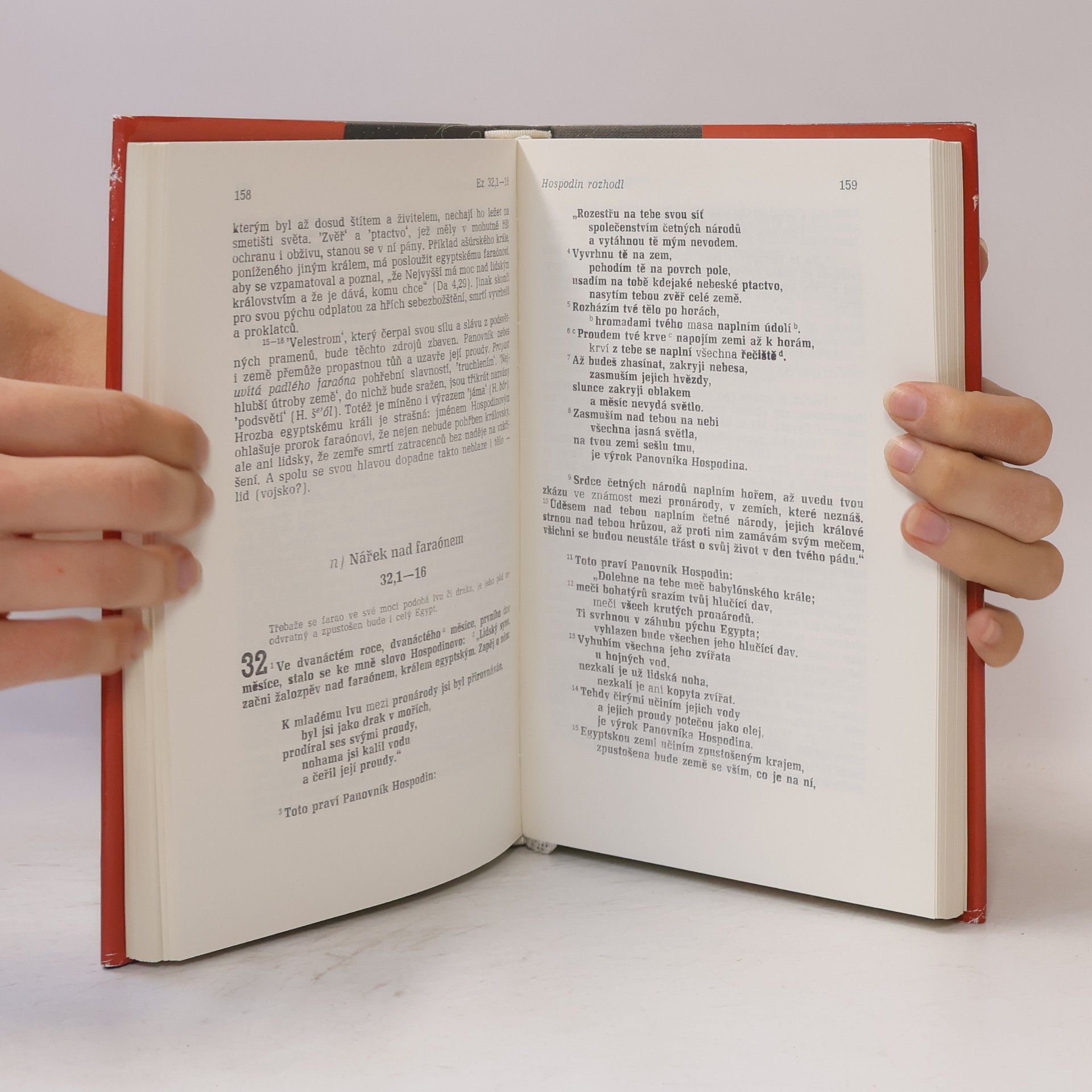 Autorenkollektiv Starý zákon. Překlad s výkladem 13. Ezechiel-Daniel