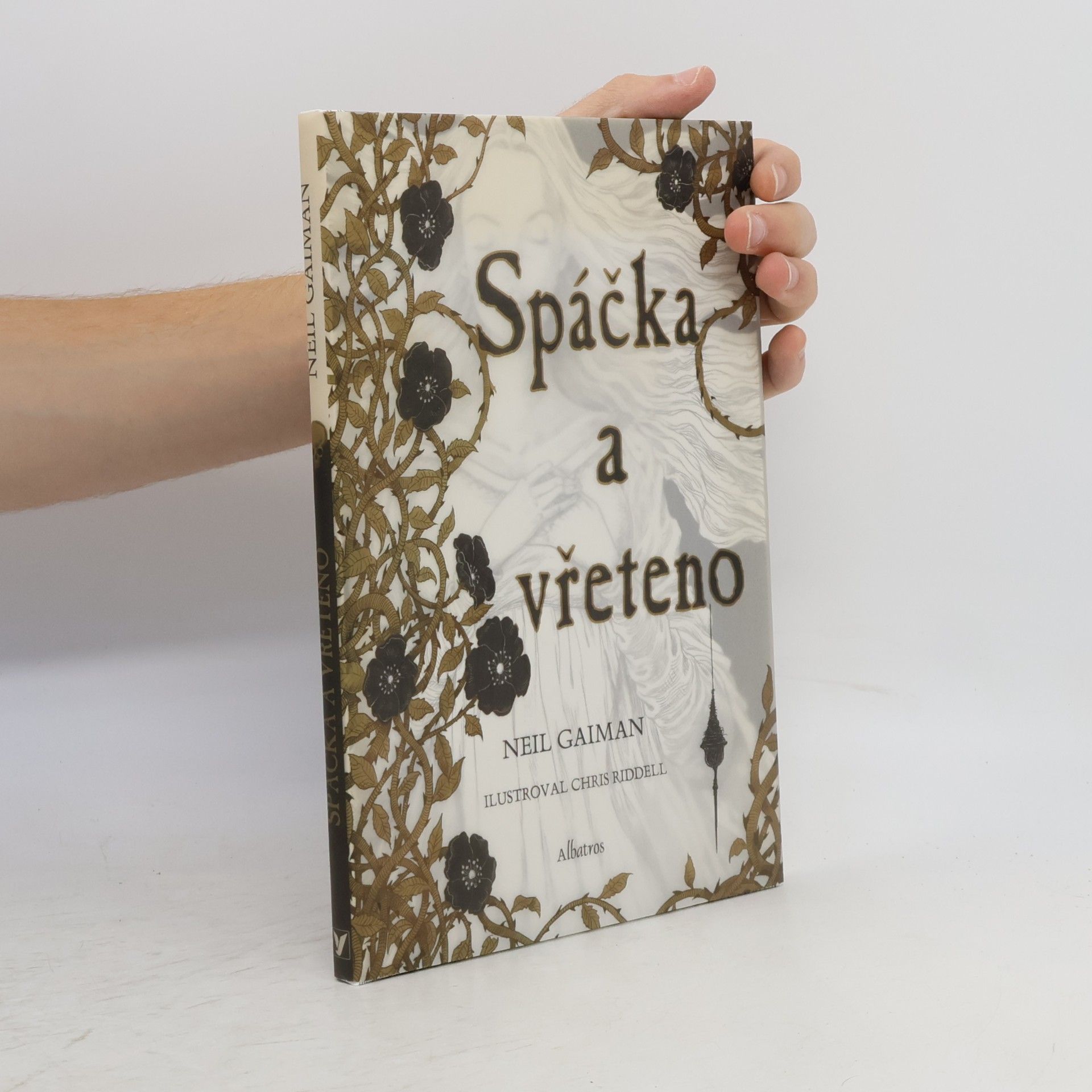 Neil Gaiman Spáčka a vřeteno