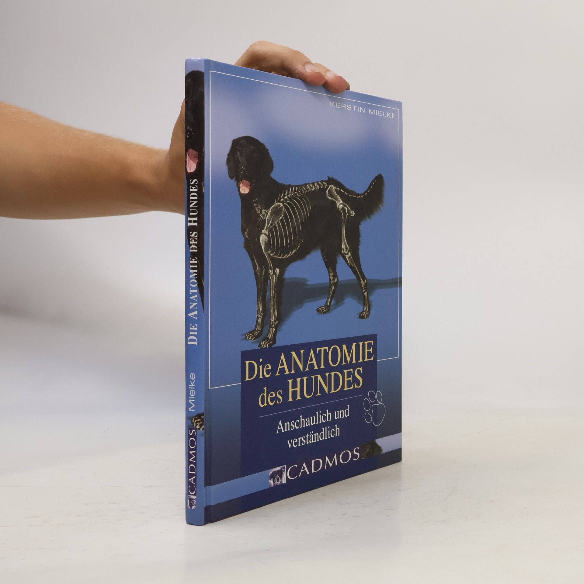 Kerstin Mielke Die Anatomie des Hundes