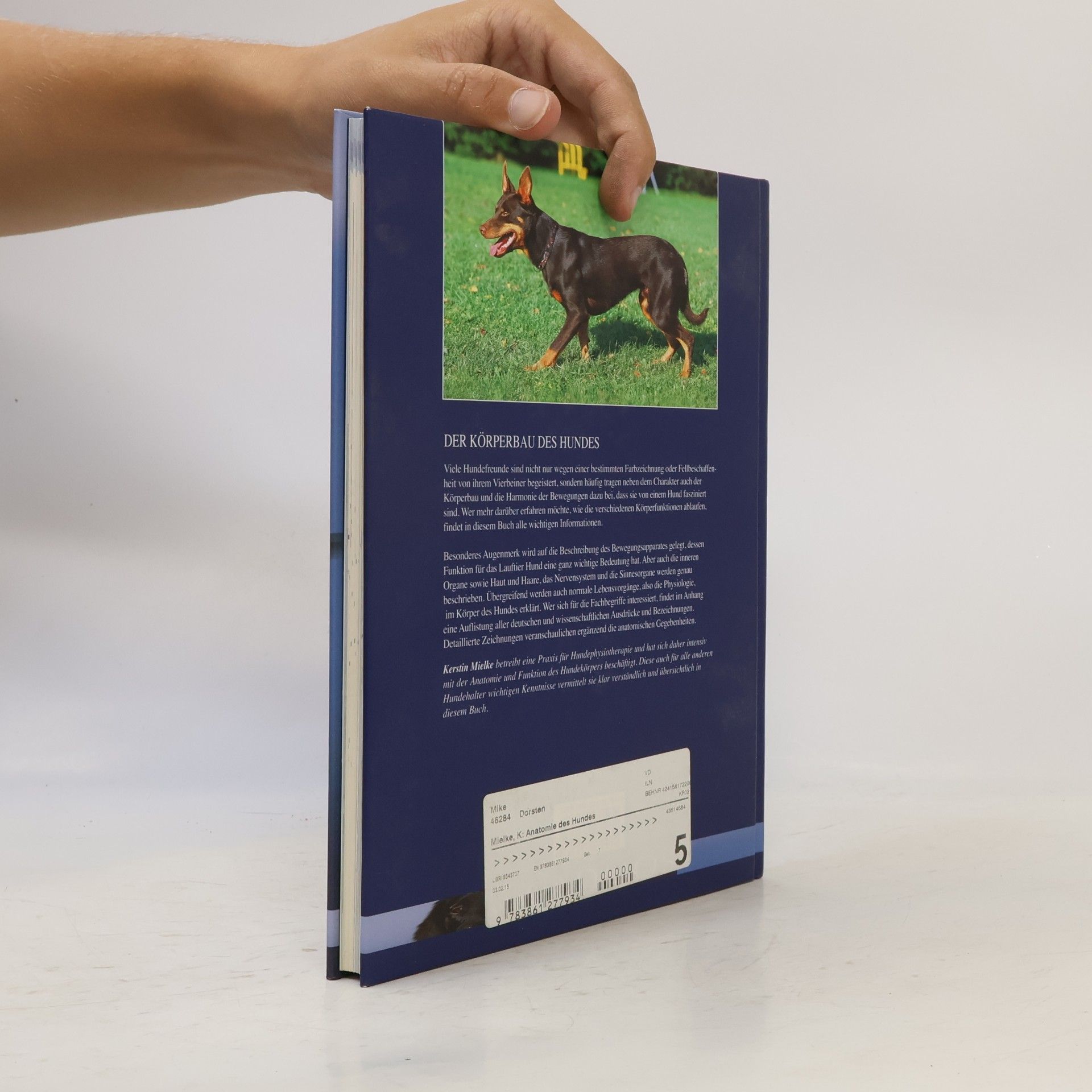 Kerstin Mielke Die Anatomie des Hundes
