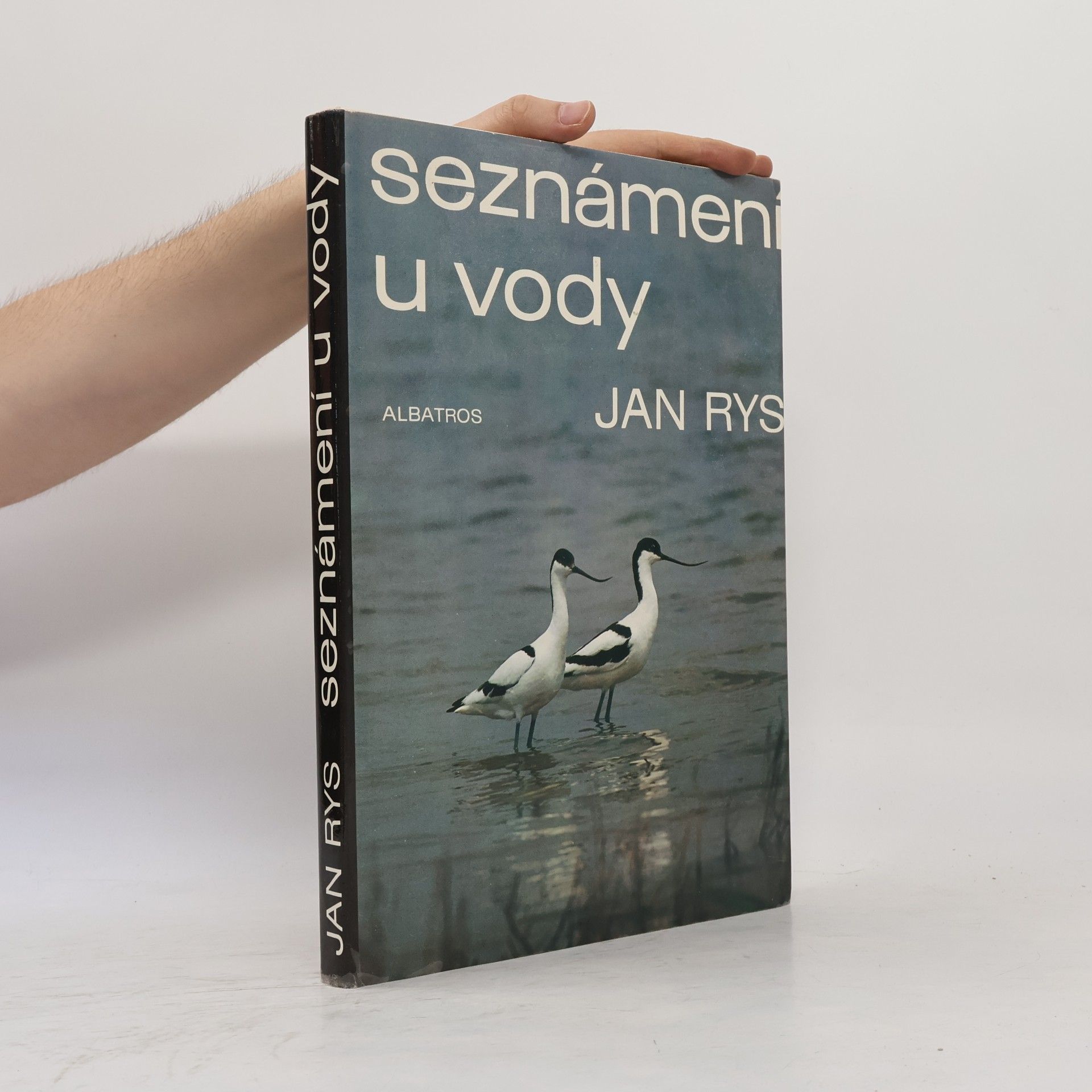 Seznámení u vody