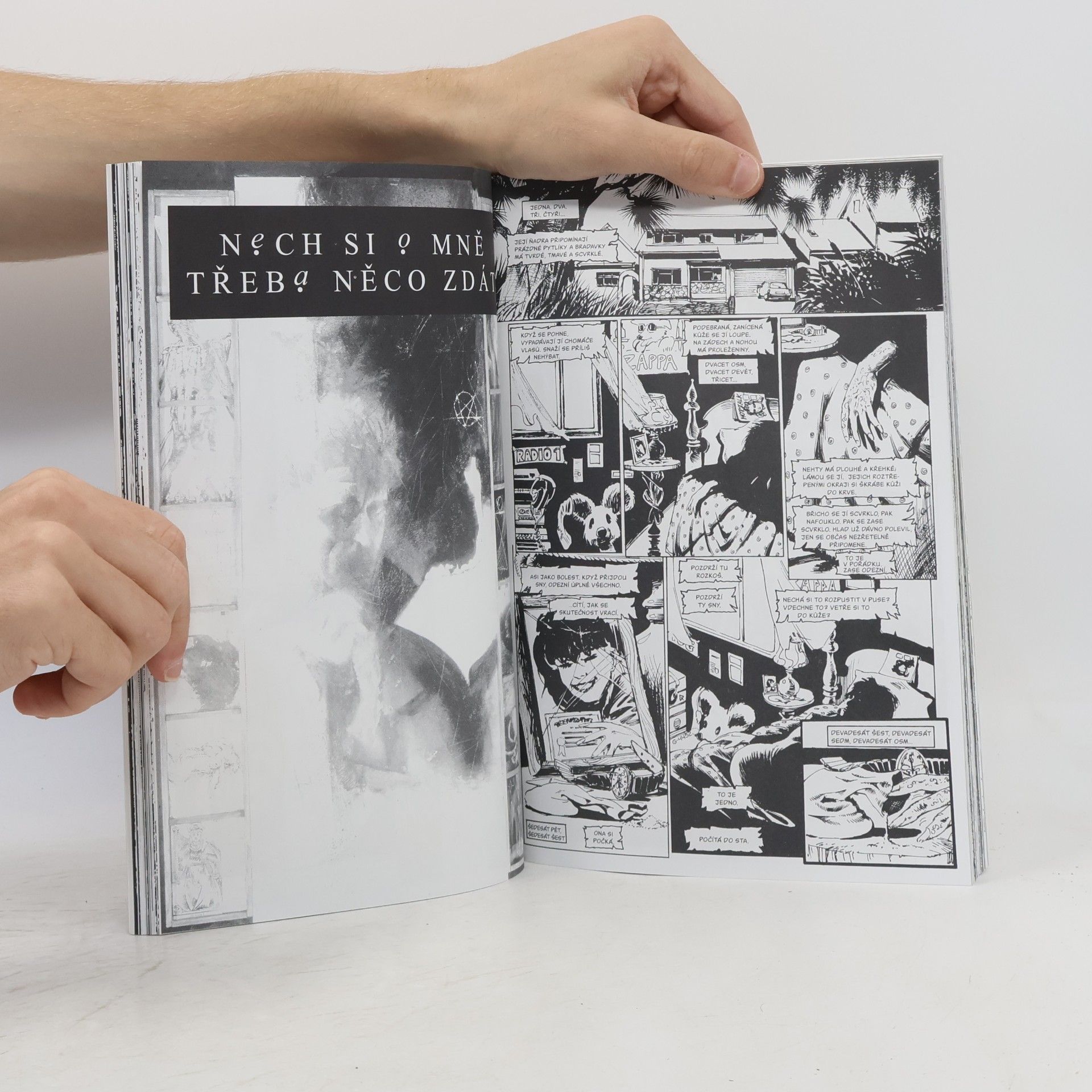 Neil Gaiman Sandman: Preludia a nokturna