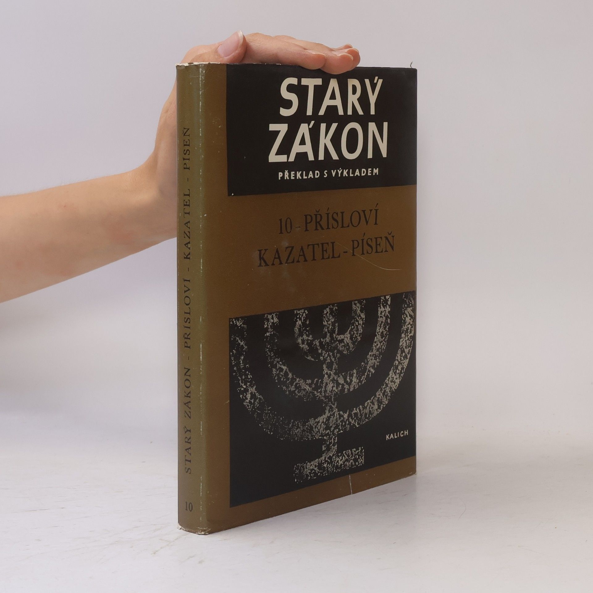 Autores varios Starý zákon překlad s výkladem 10. Přísloví. Kazatel. Píseň.