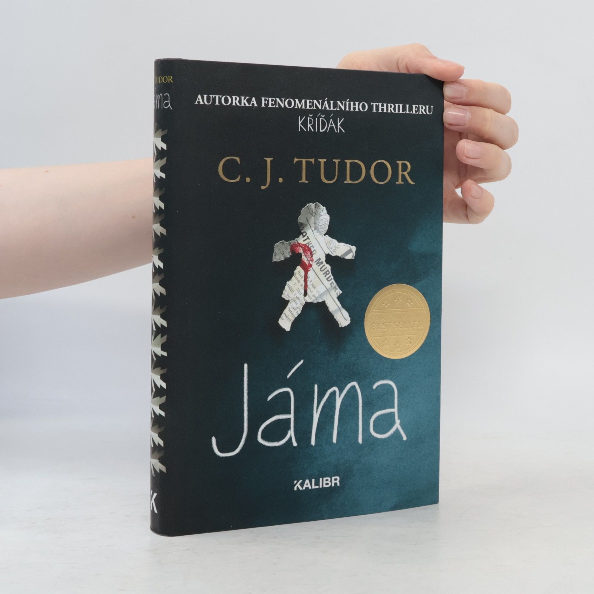 C. J. Tudor Jáma