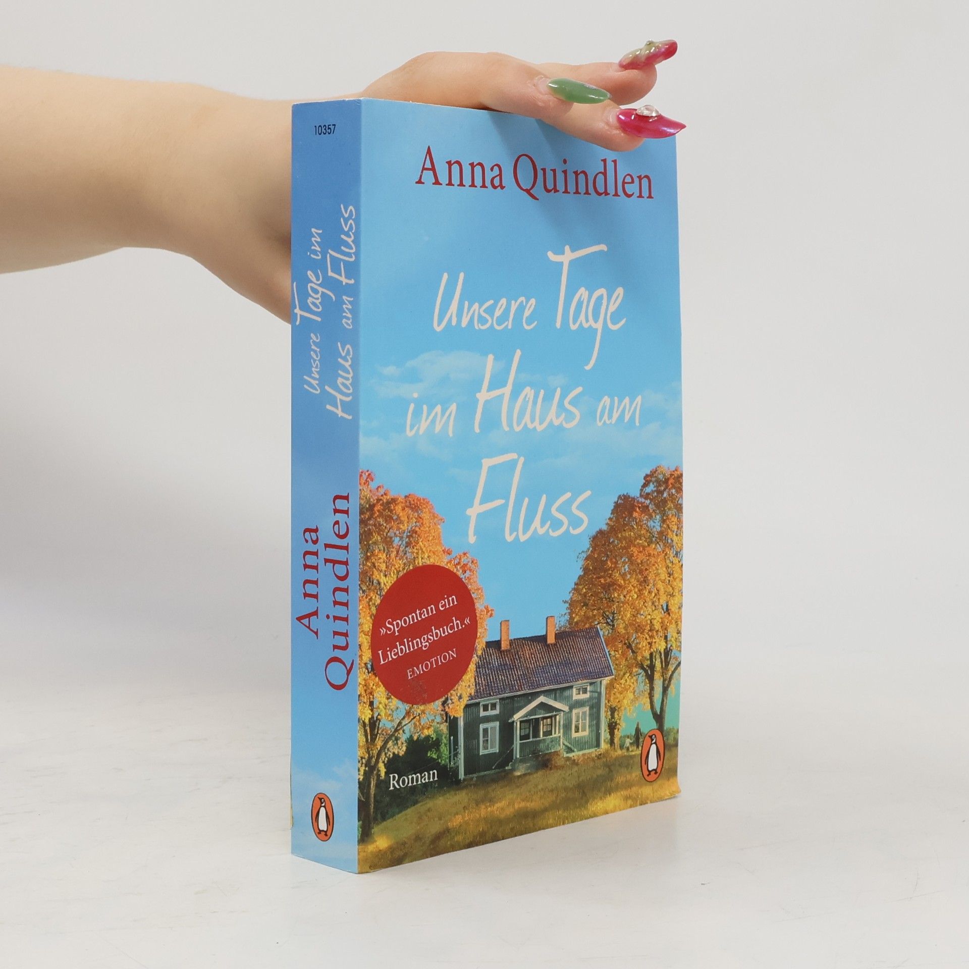 Anna Quindlen Unsere Tage im Haus am Fluss