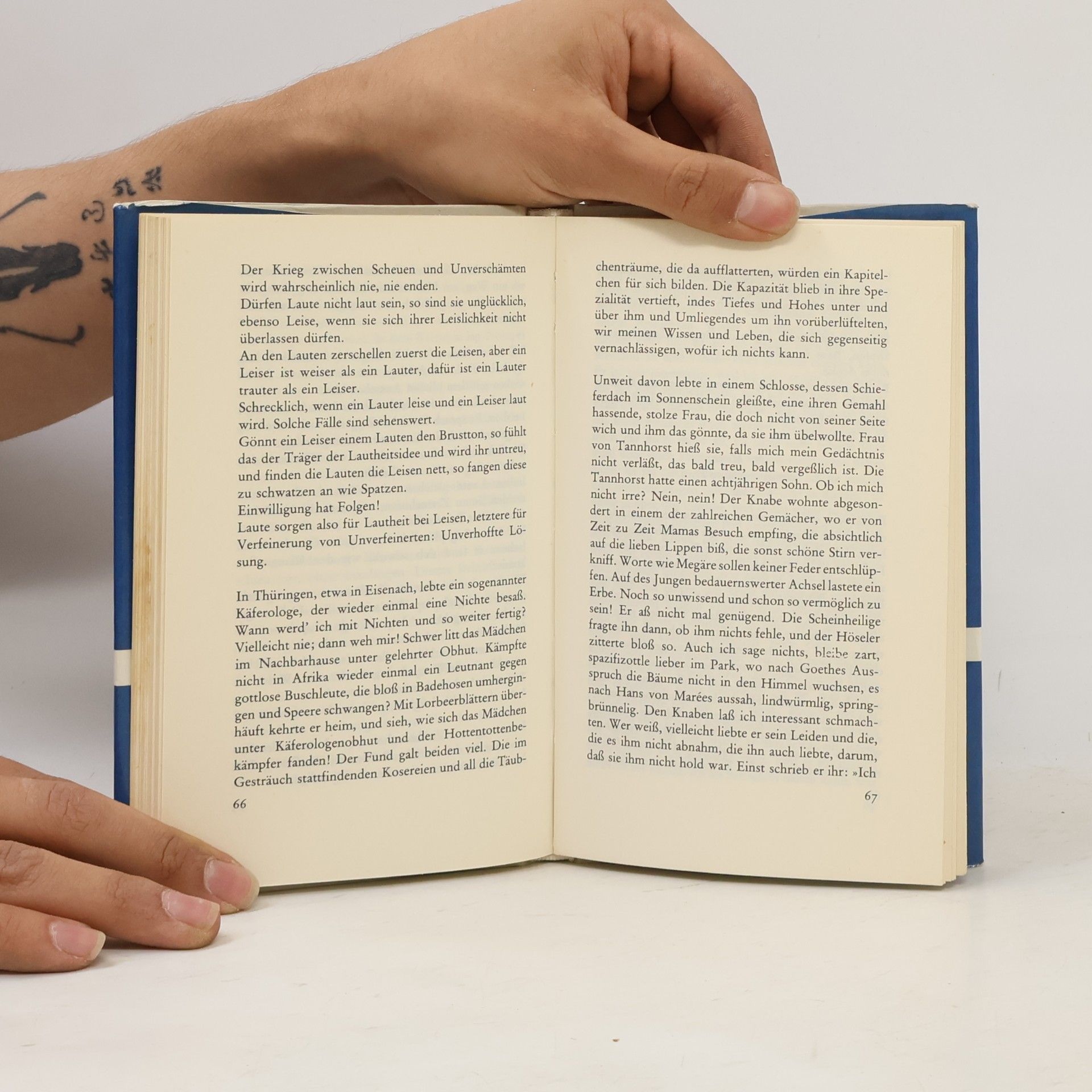 Robert Walser Bibliothek Suhrkamp: Die Rose