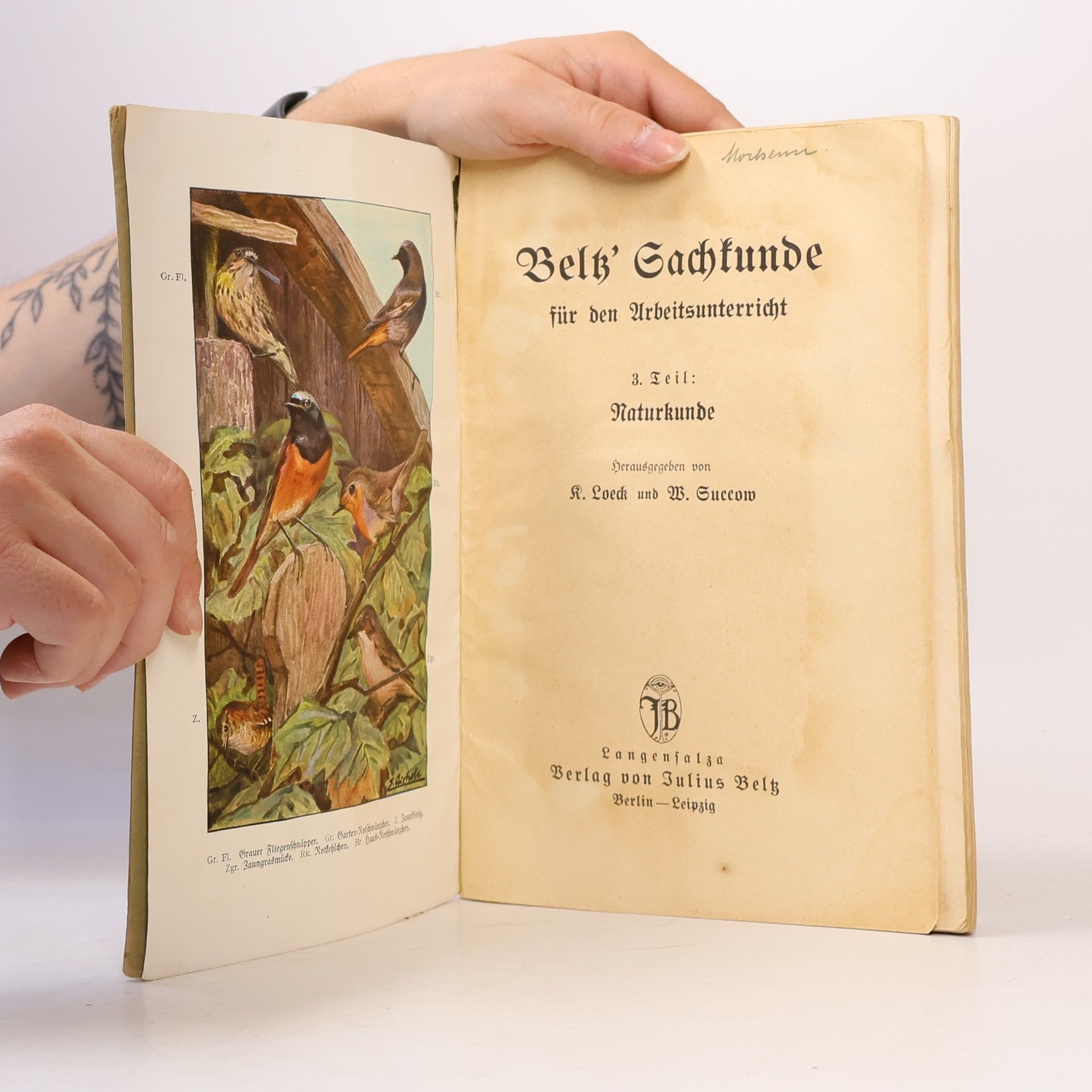 Autorenkollektiv Beltz' Sachkunde. III. Teil