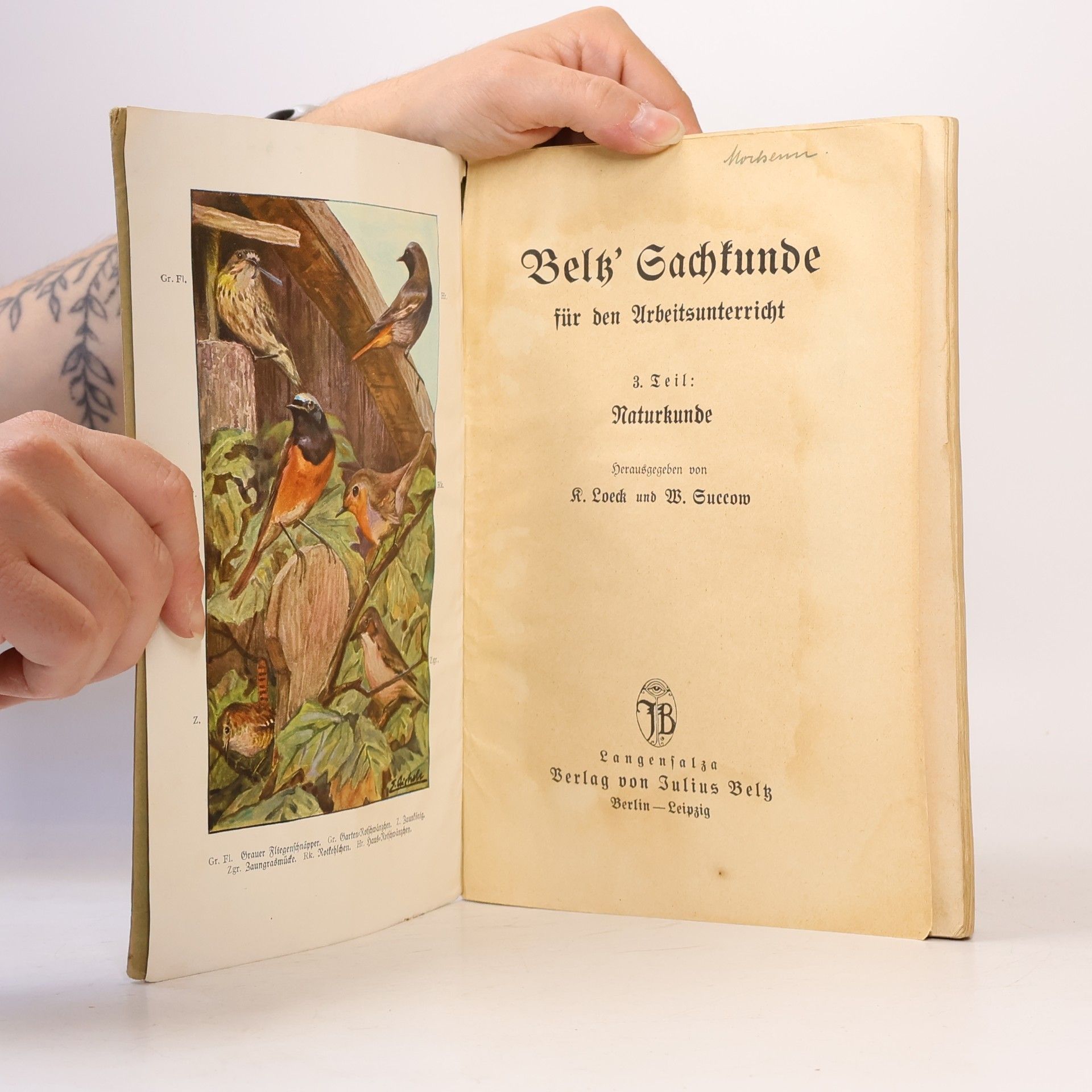 Autorenkollektiv Beltz' Sachkunde. III. Teil