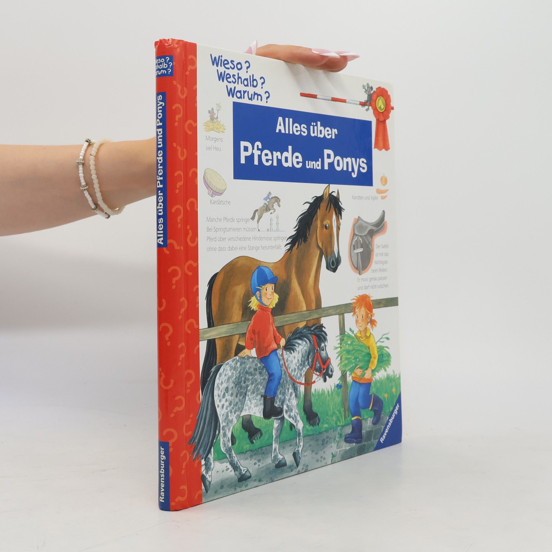 Andrea Erne Alles über Pferde und Ponys