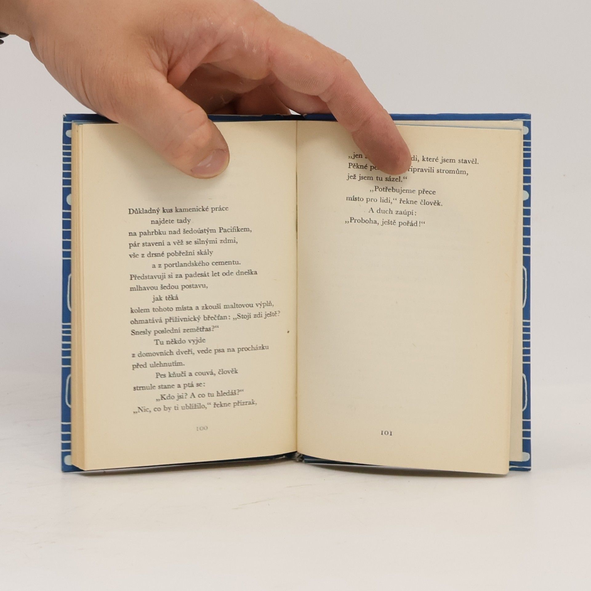 Robinson Jeffers Sbohem, moře : poslední básně