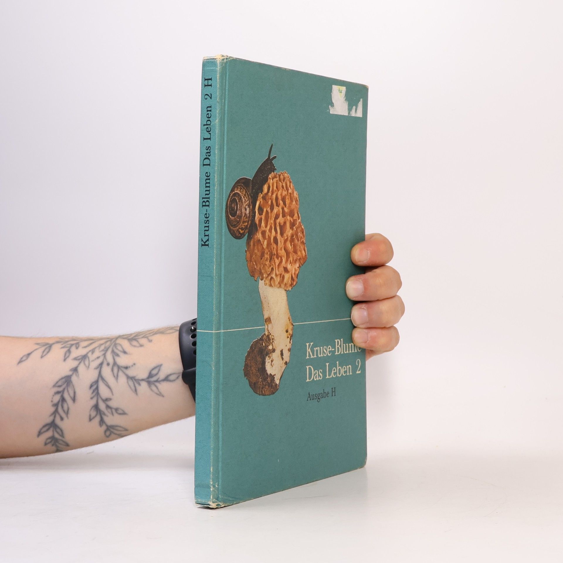 Kolektiv autorů Kruse - Blume. Das Leben 2. Ausgabe H