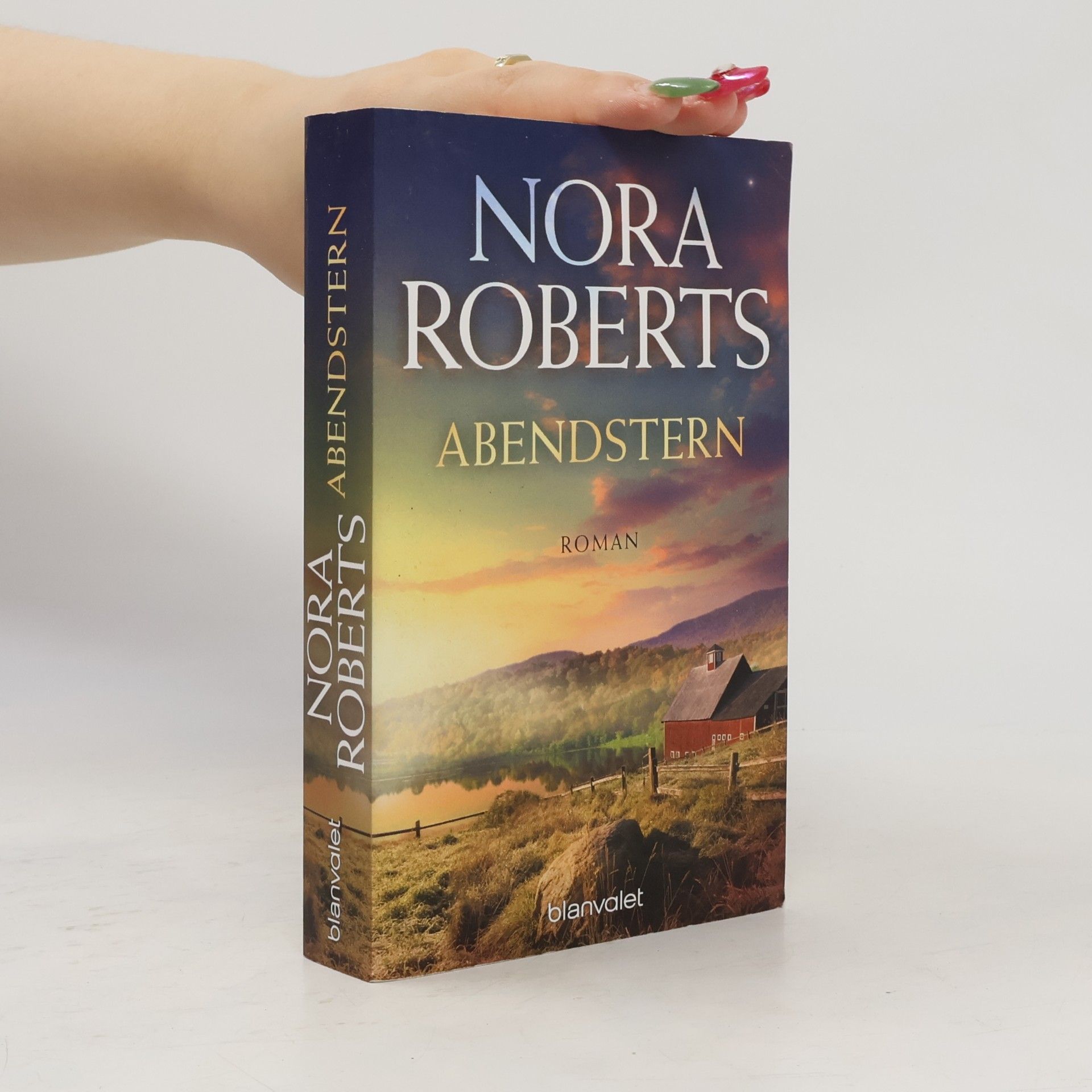 Nora Roberts Abendstern