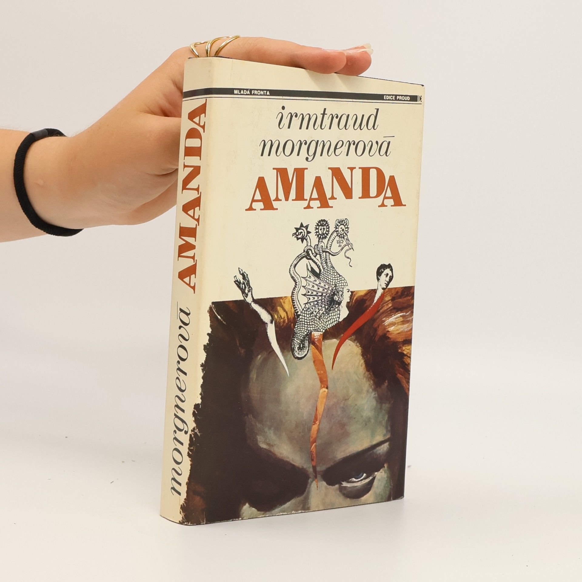 Amanda. Čarodějničí román
