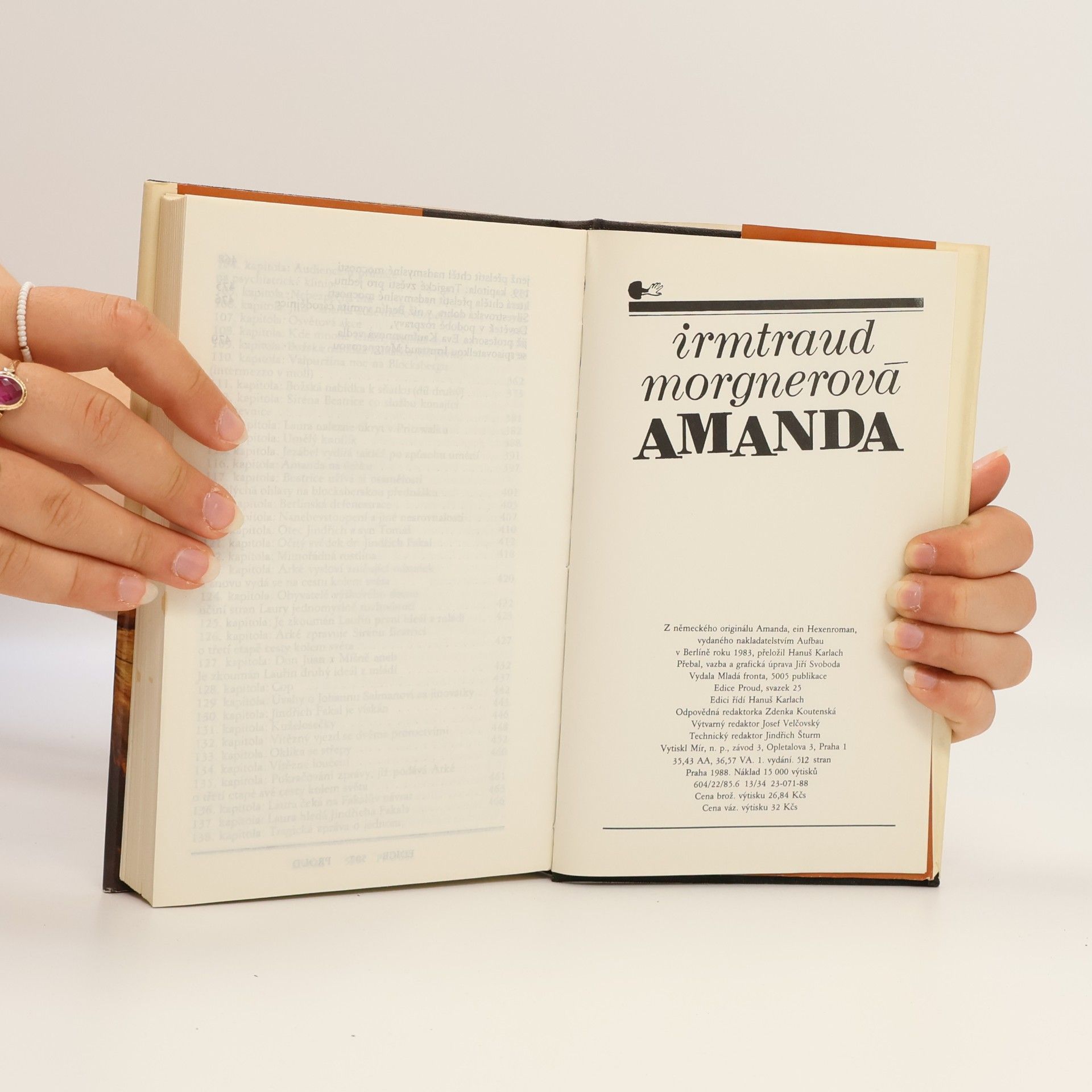 Irmtraud Morgner Amanda. Čarodějničí román