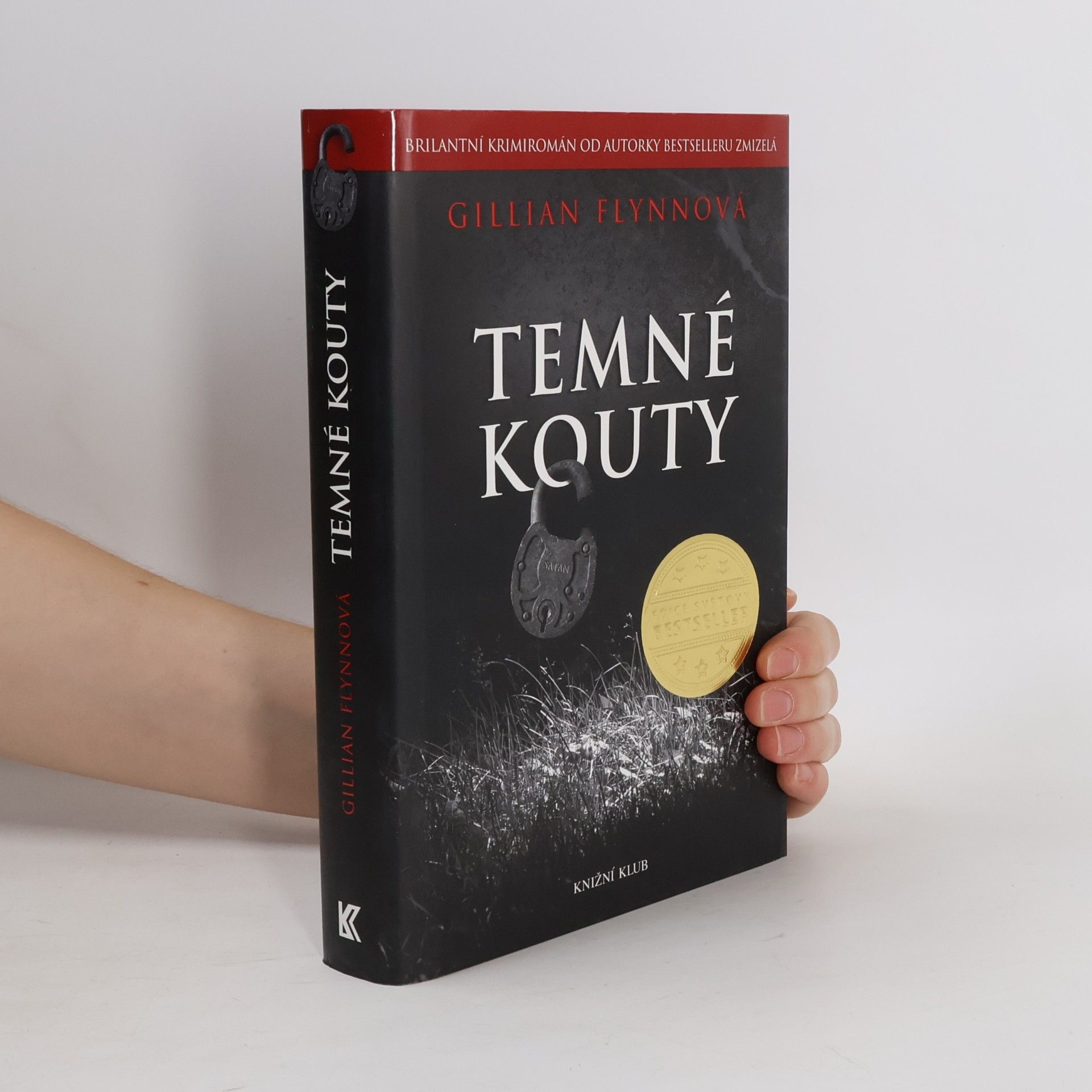 Gillian Flynn Temné kouty