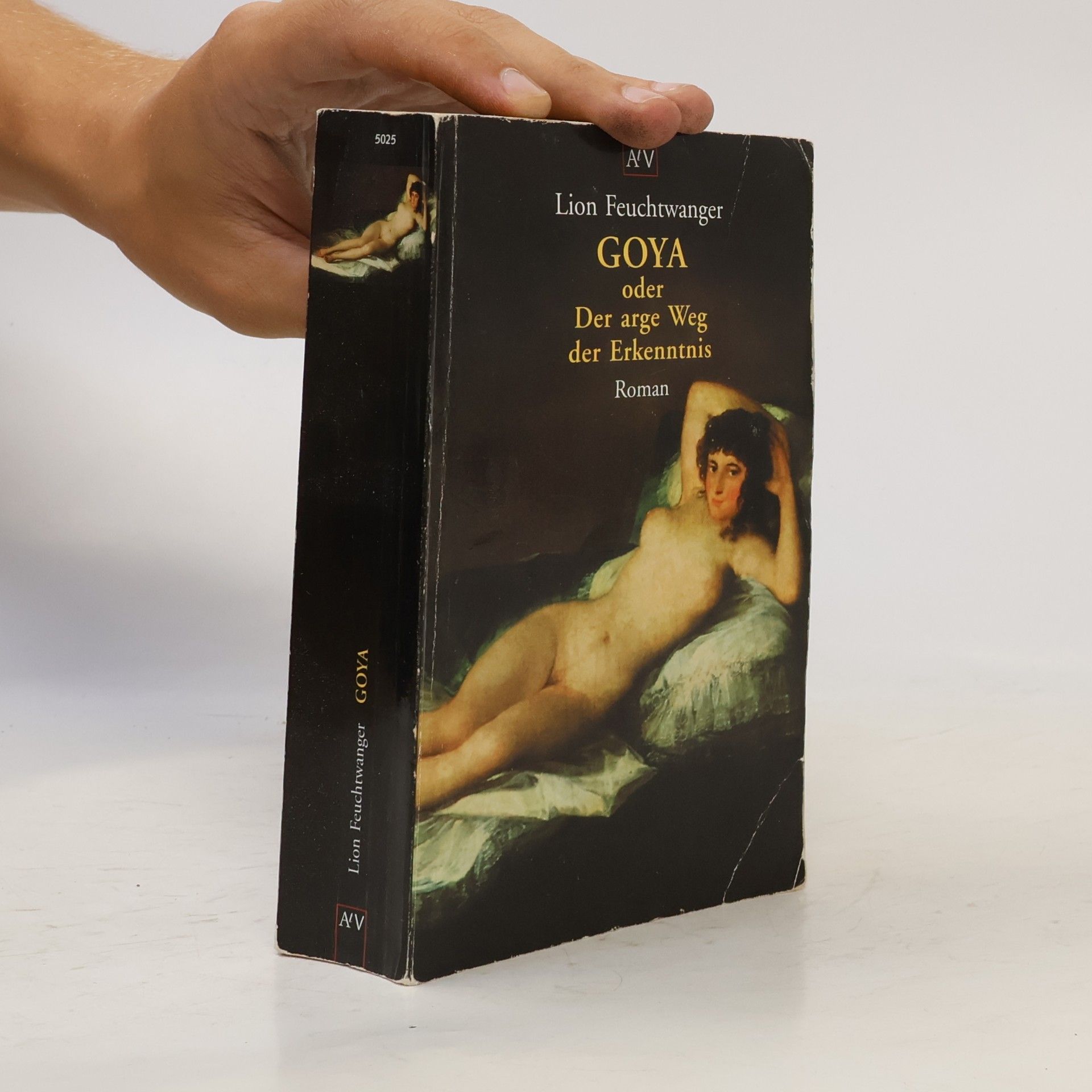 Lion Feuchtwanger Goya oder der arge Weg der Erkenntnis
