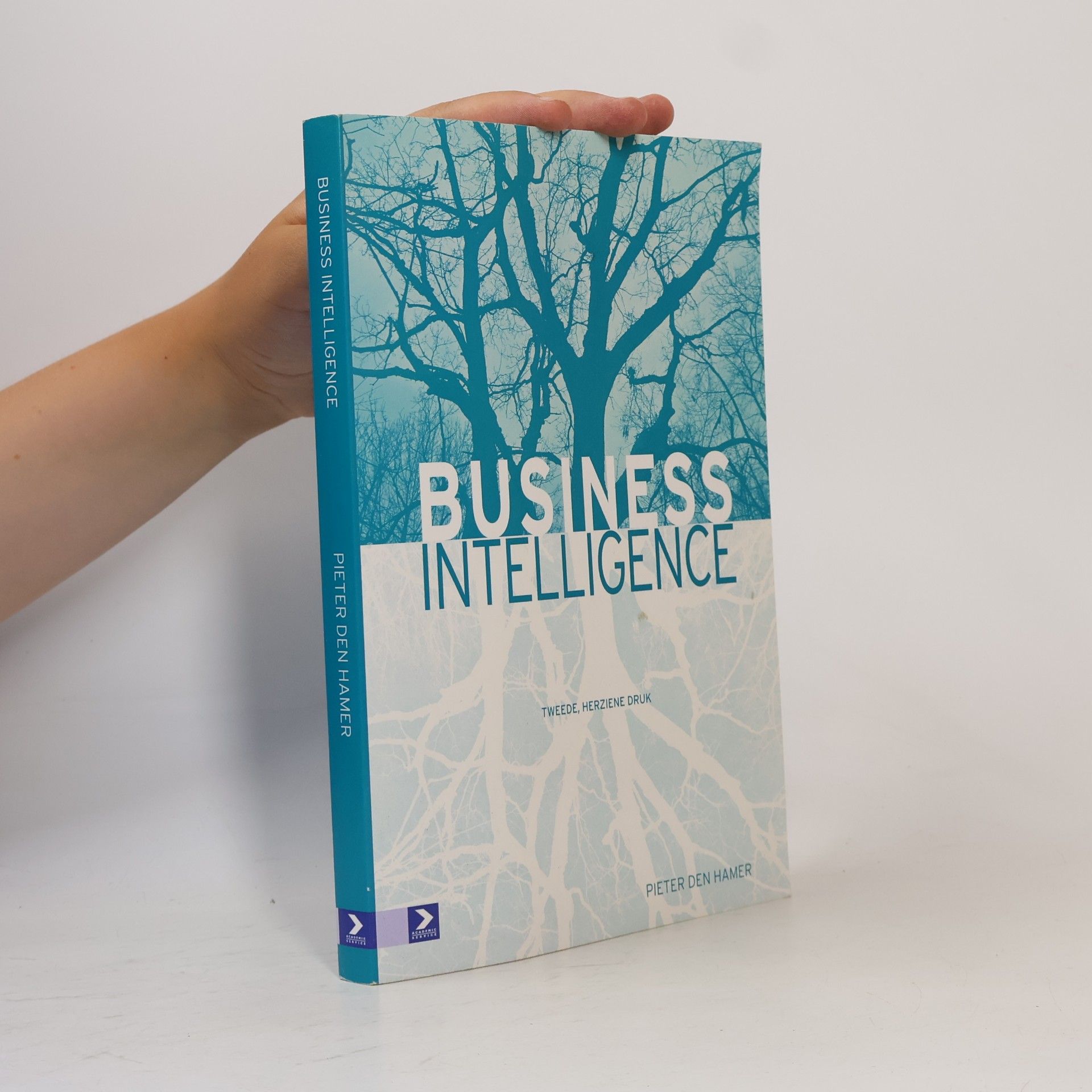 Pieter den Hamer Business intelligence