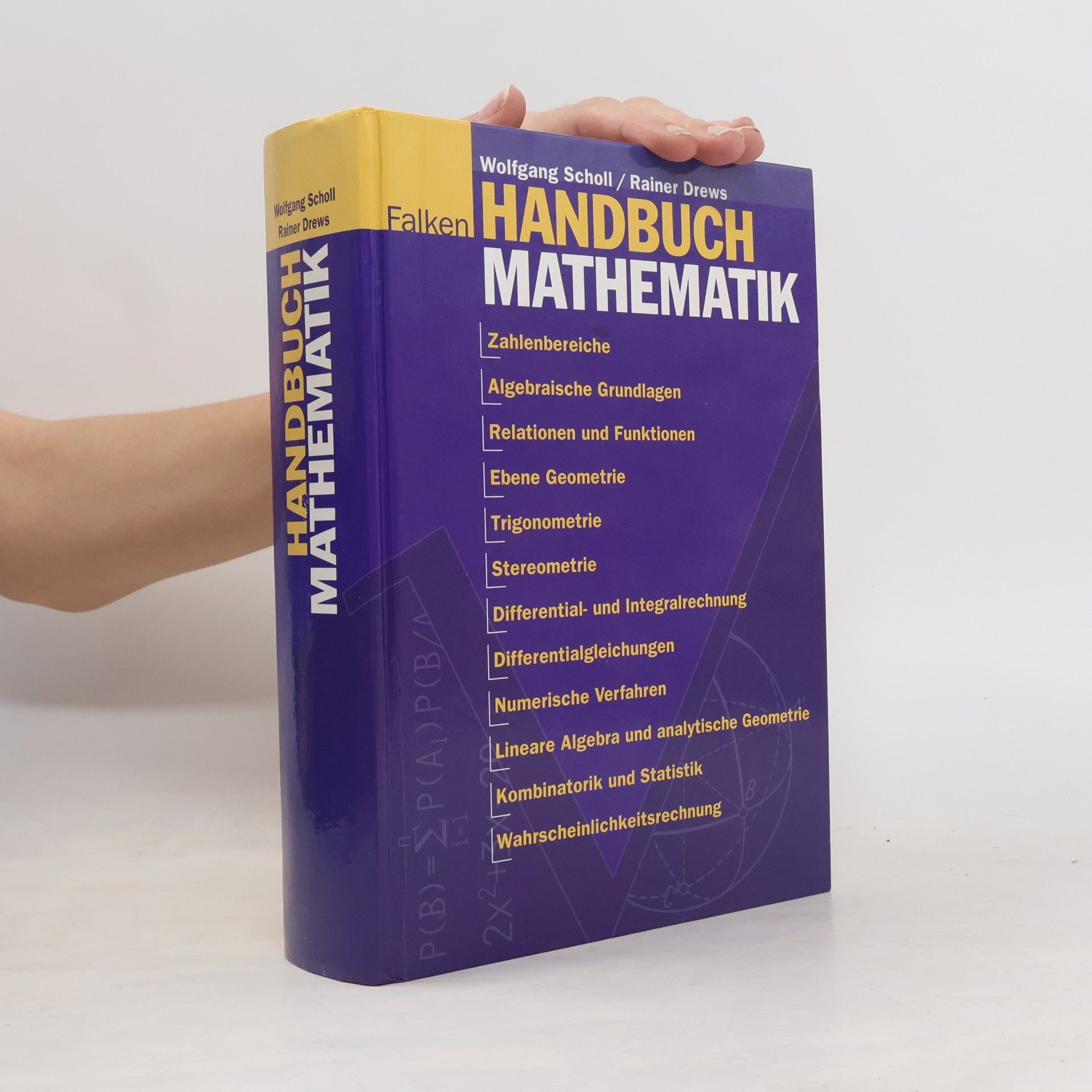 Wolfgang Scholl Falken-Handbuch Mathematik