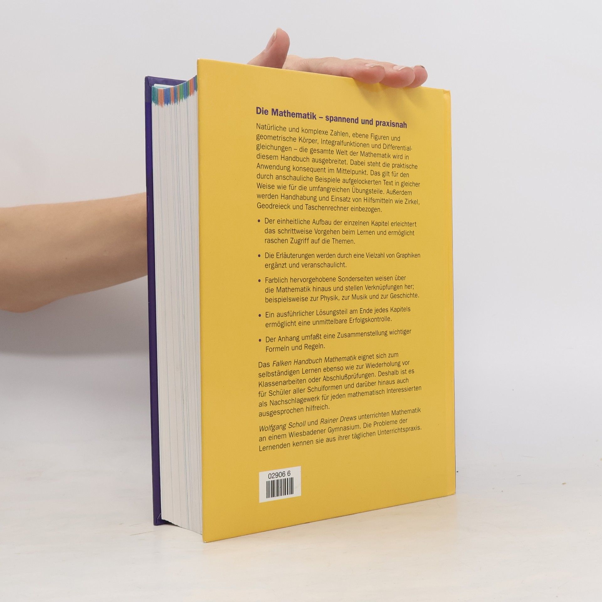 Wolfgang Scholl Falken-Handbuch Mathematik