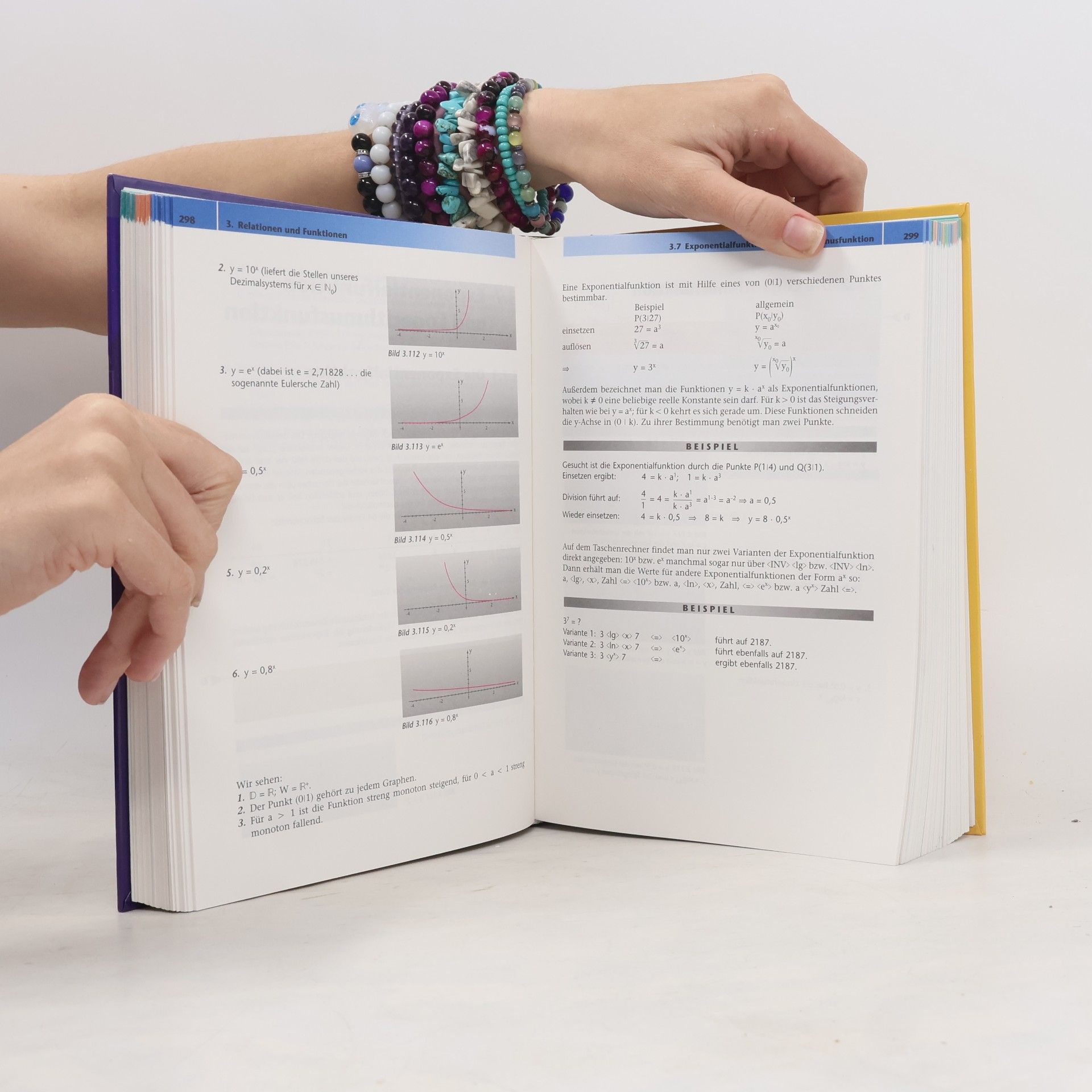 Wolfgang Scholl Falken-Handbuch Mathematik