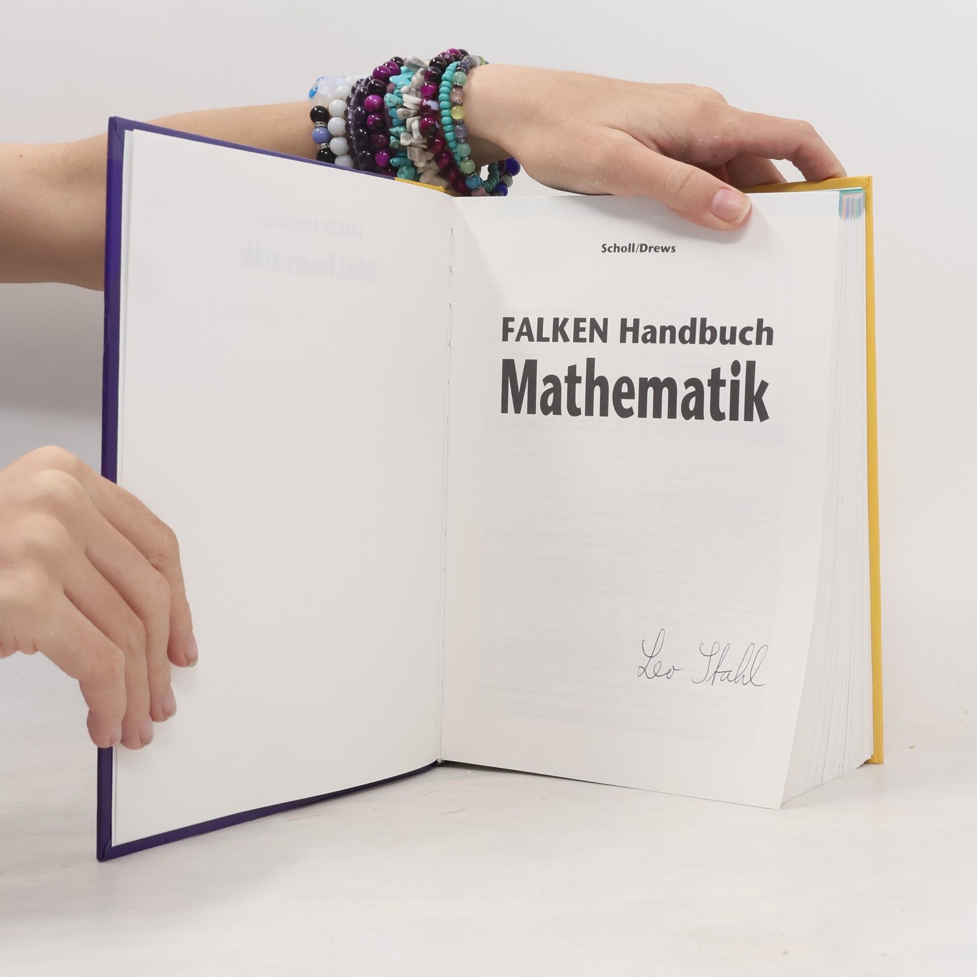Wolfgang Scholl Falken-Handbuch Mathematik
