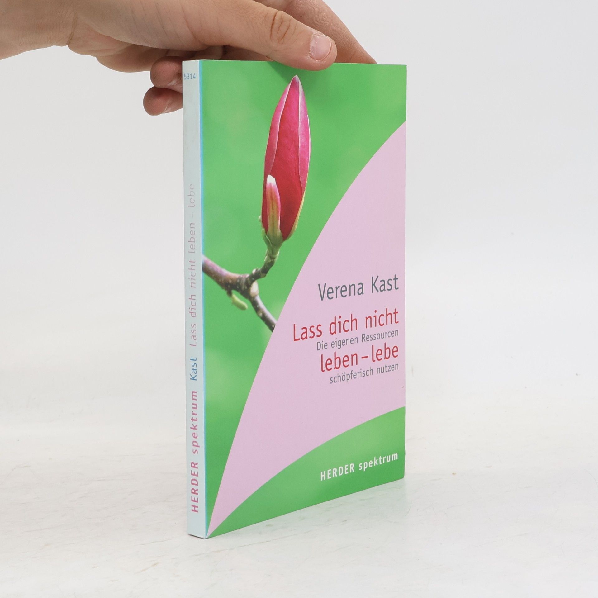 Verena Kast Lass dich nicht leben - lebe!