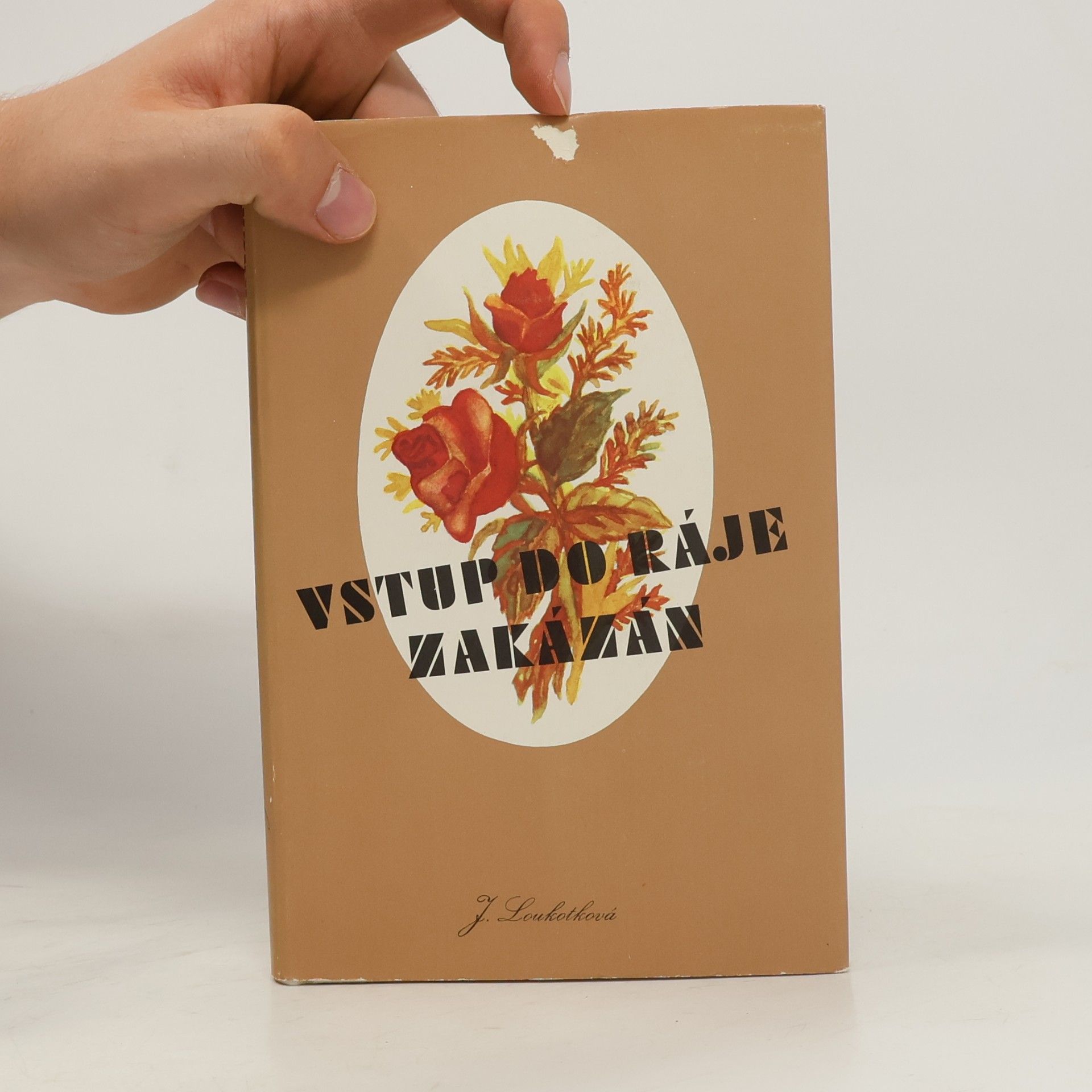 Jarmila Loukotková Vstup do ráje zakázán