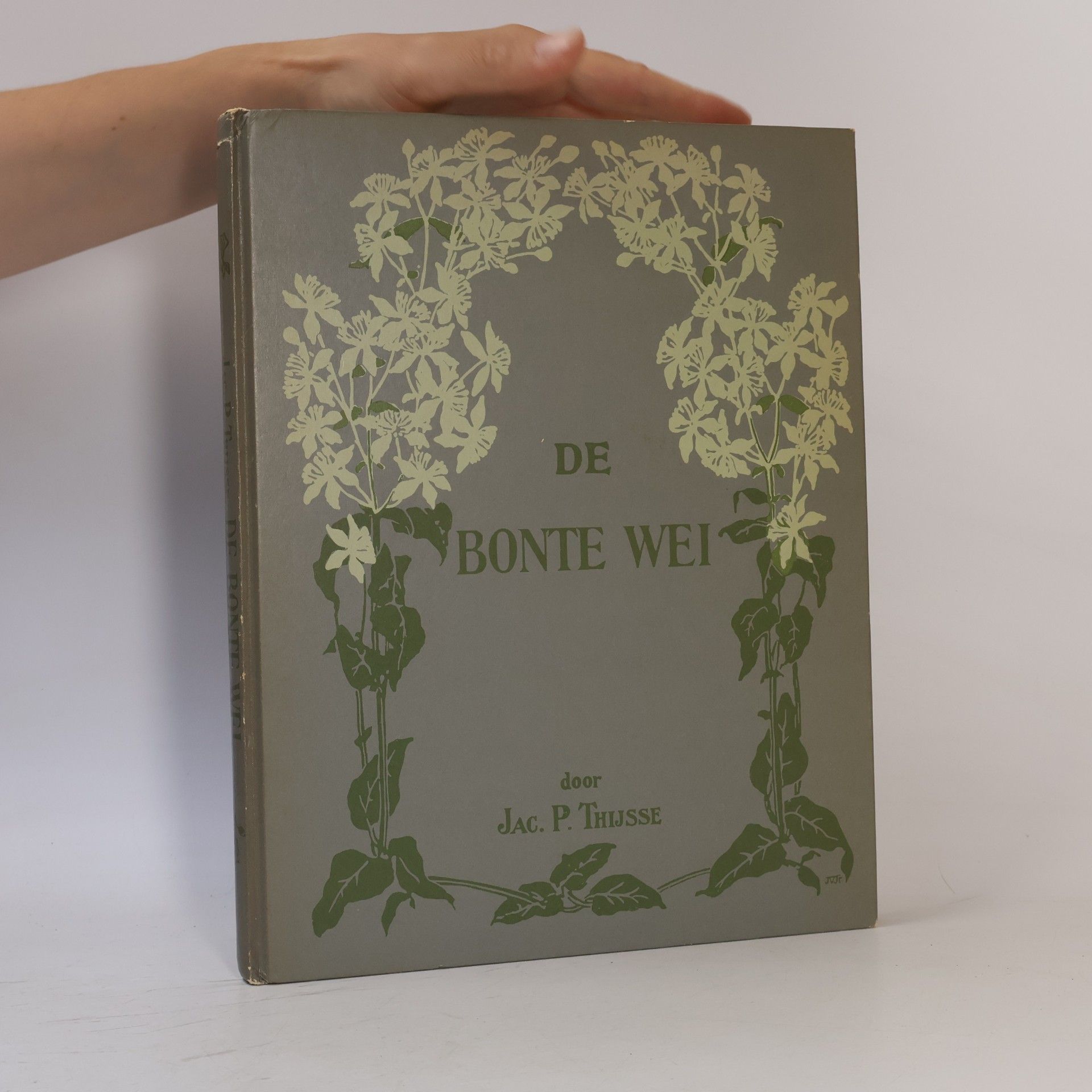 De bonte wei